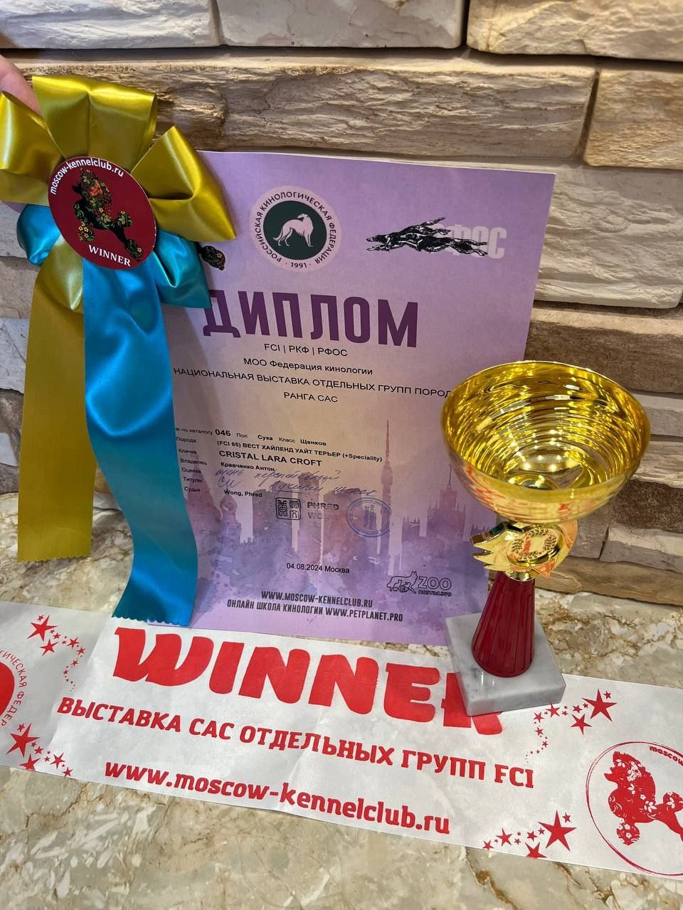Выставка с международной экспертизой «Летний Кубок Москвы». Питомник собак породы вест хайленд вайт терьер в Москве