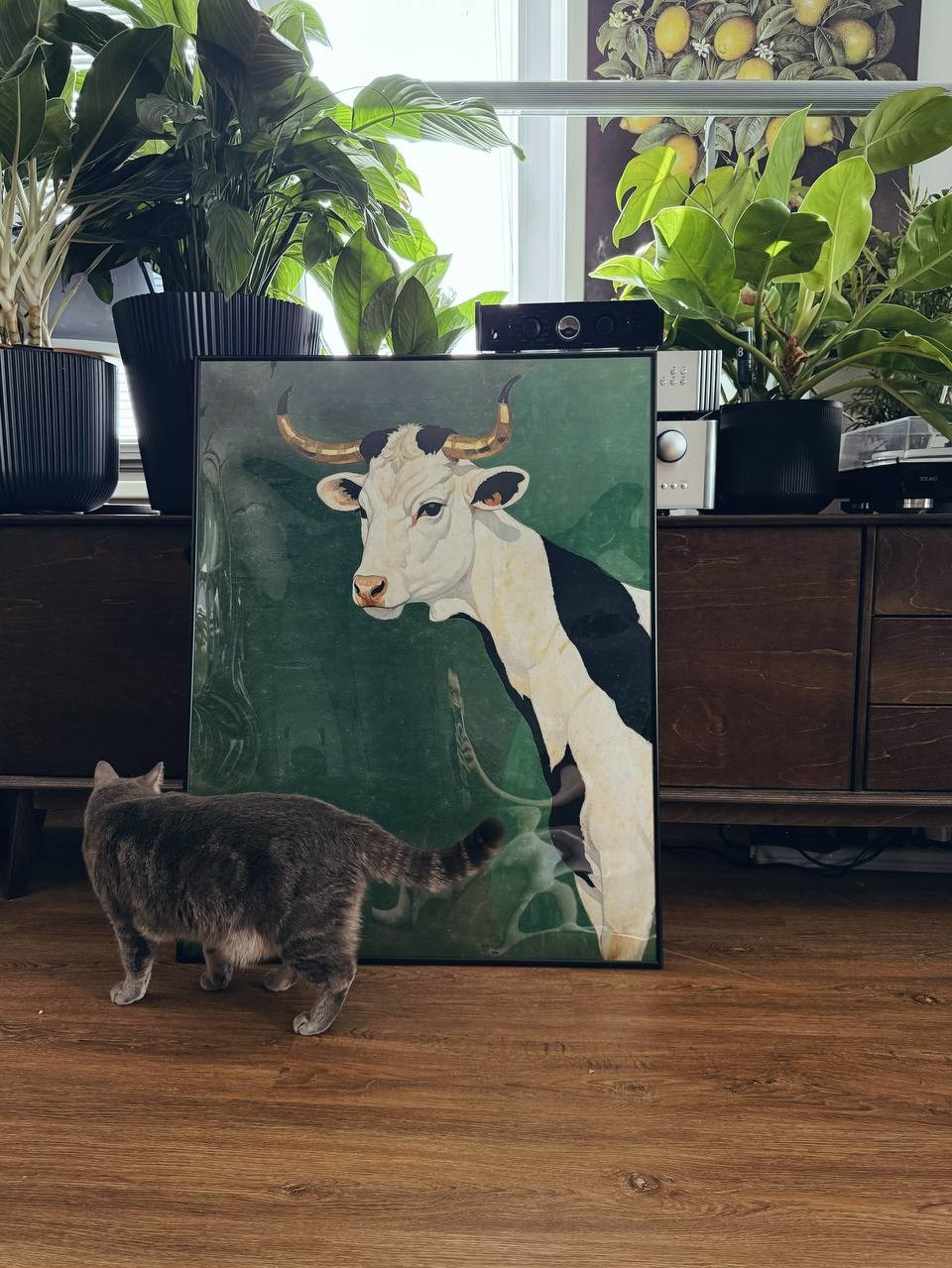 Постеры. Портретный фотограф