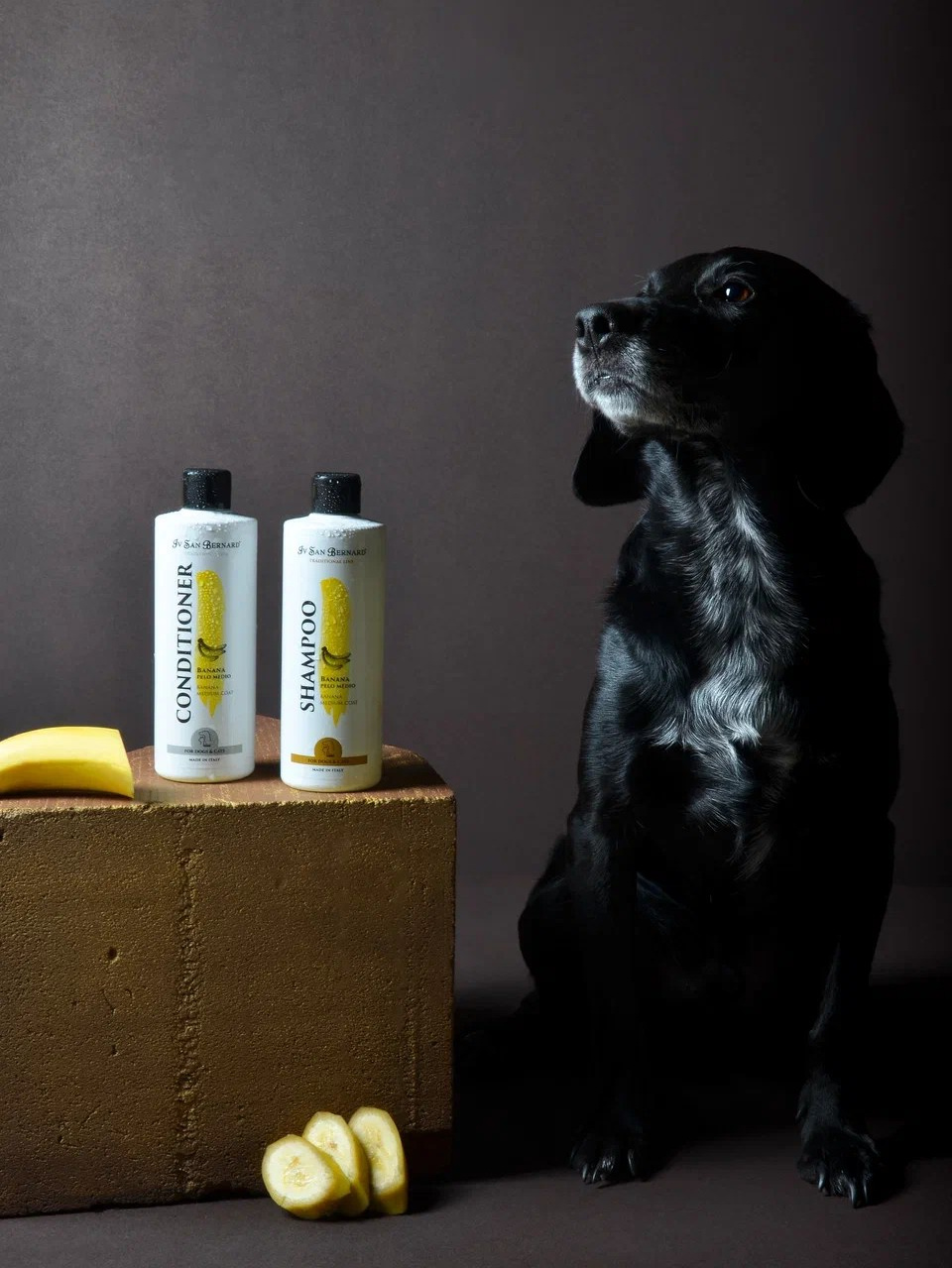 Товары для животных. INSPIRIA- Создание продающего контента для маркетплейсов в Москве и Московской области