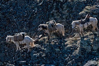 Статьи о географических объектах России