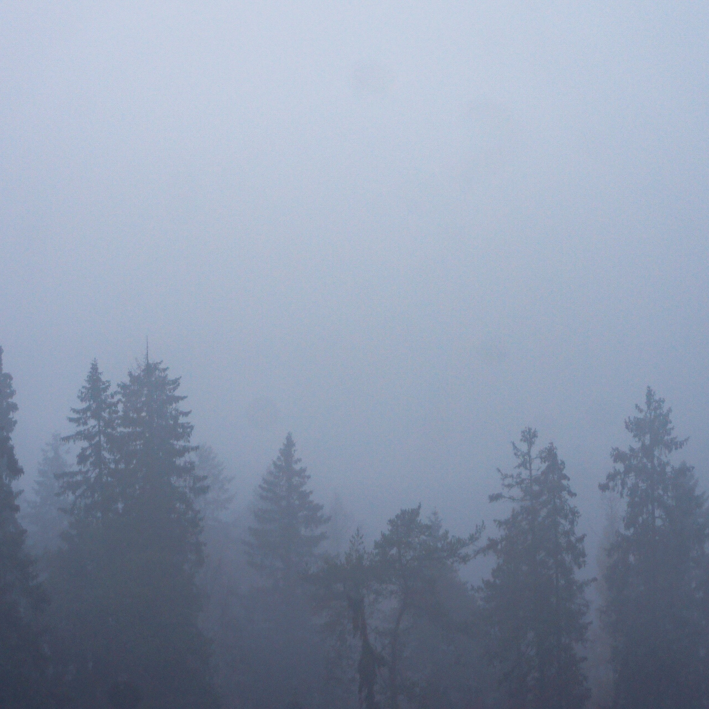 Портфолио|работы с партнерами. Хорошая экспедиция