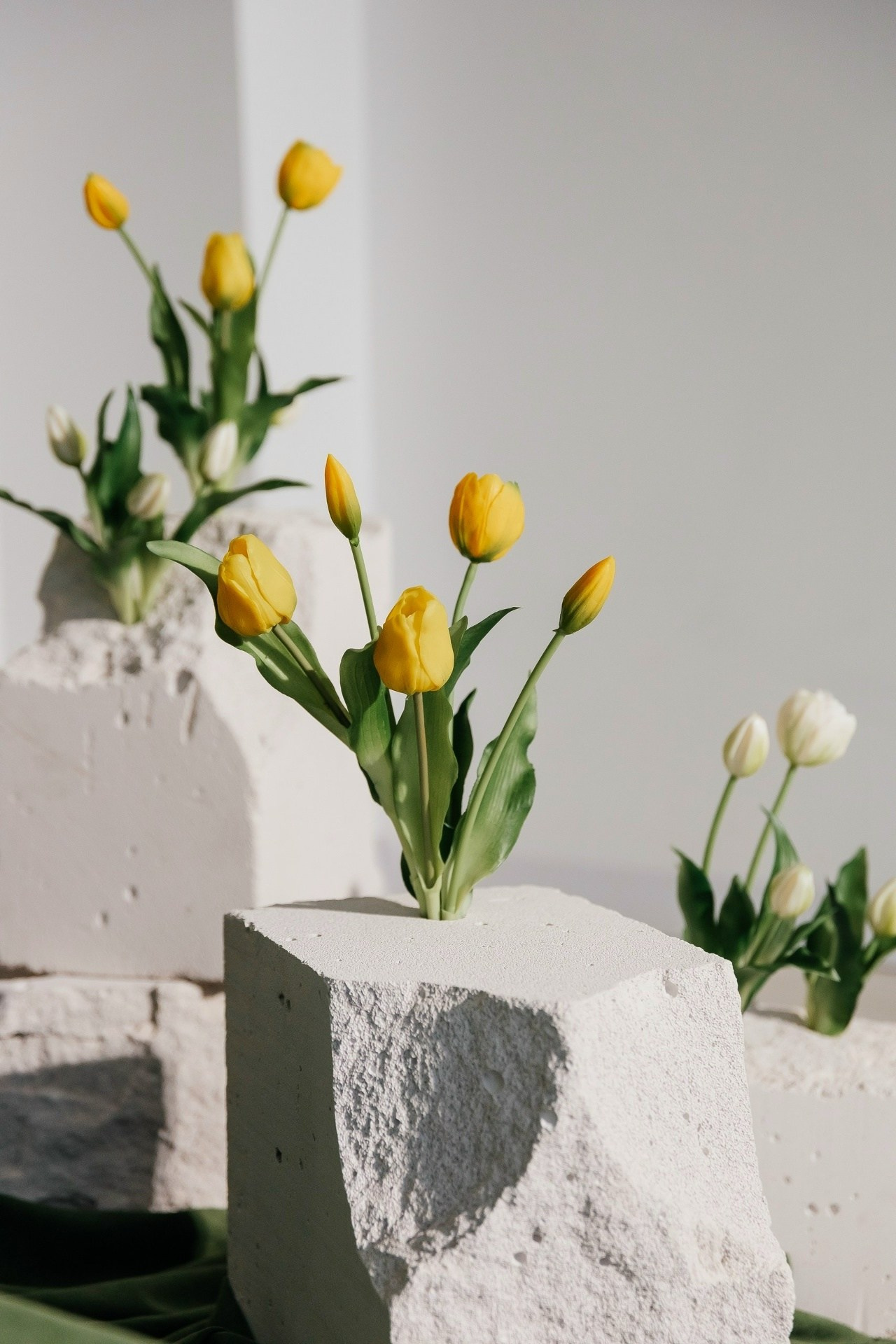 фотостудия лаванда в Луганске зал вайт