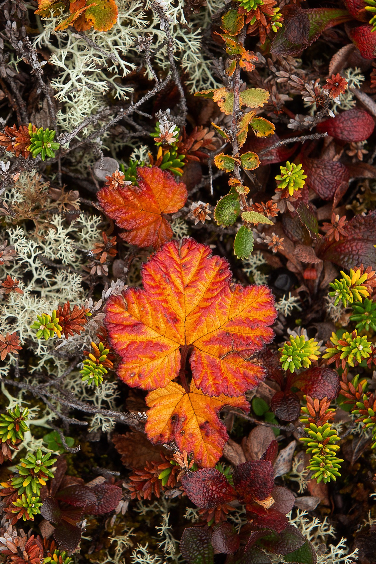 РЫБАЧИЙ 2025. Фототуры и обучение пейзажной фотографии