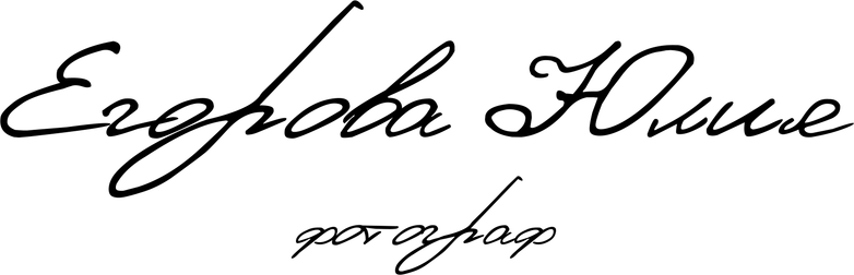 egorovaph.wfolio.pro