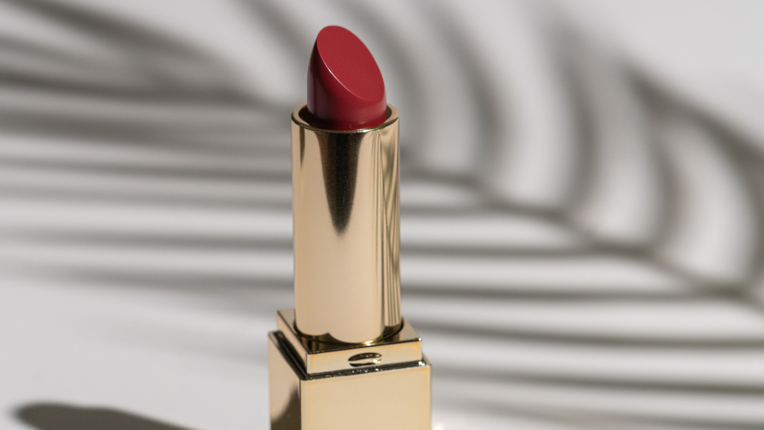 Прайс. Фотограф Александра Волкова | Волгоград