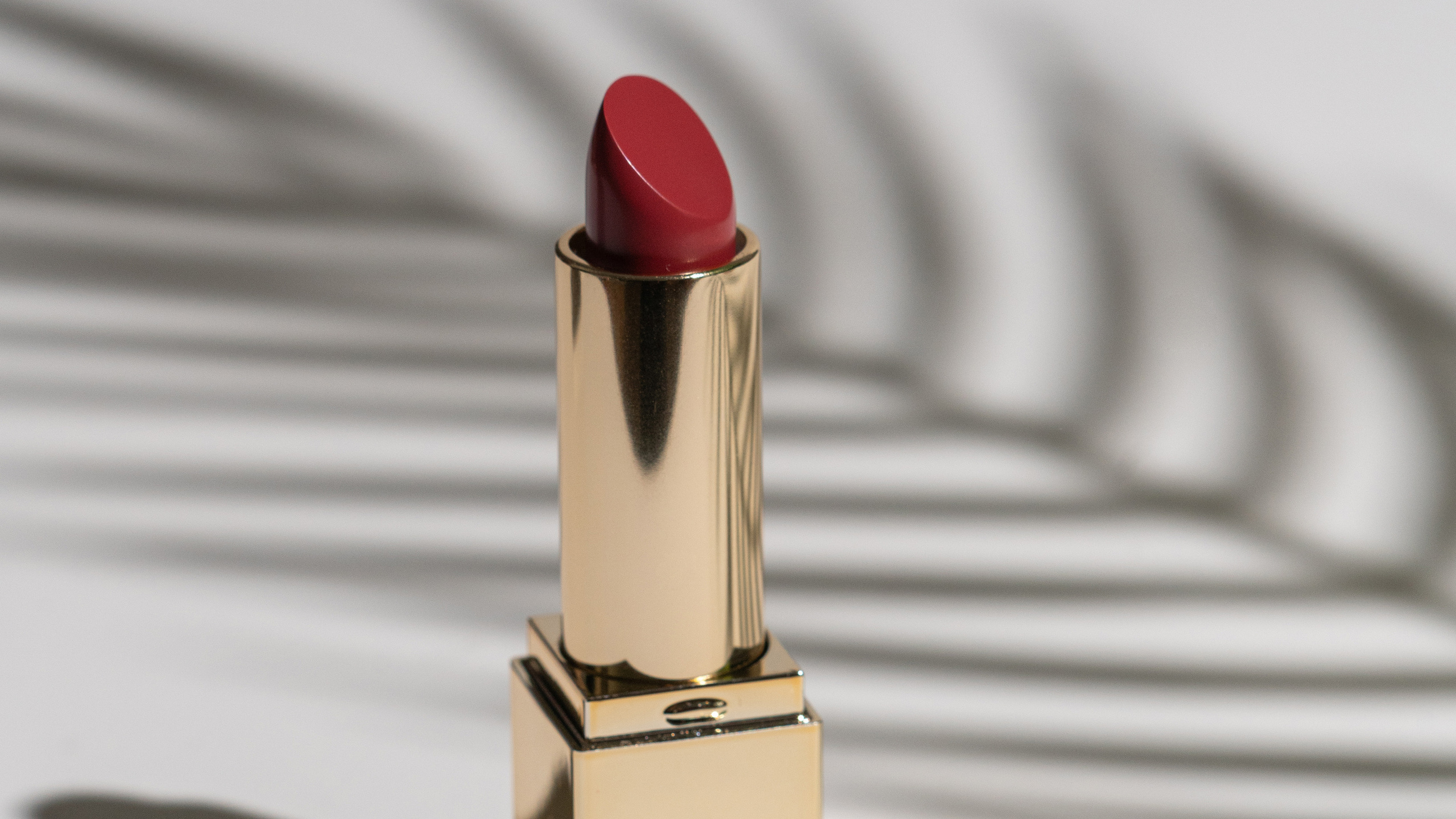 Портфолио. Фотограф Александра Волкова | Волгоград