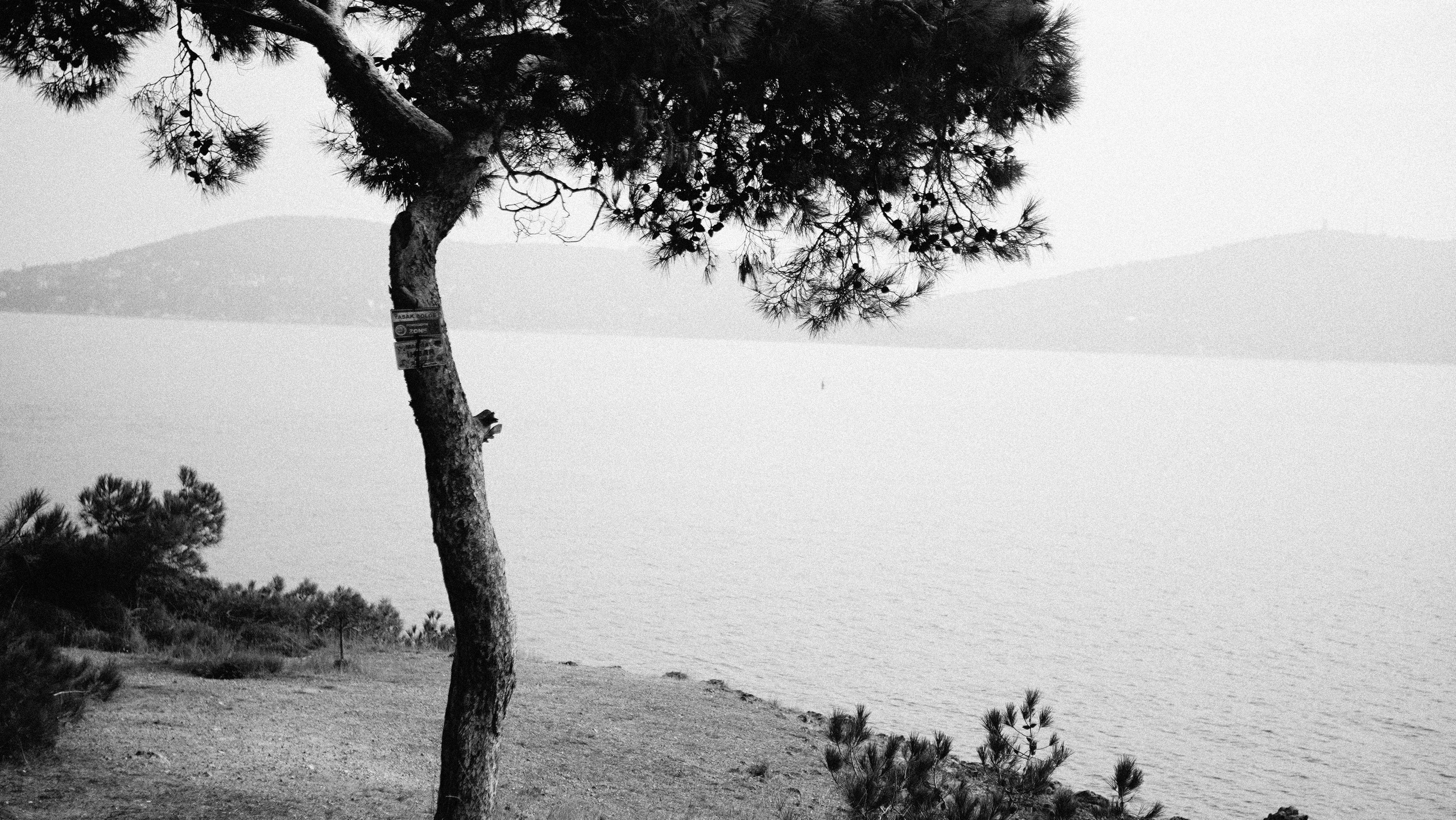 Услуги. Фотограф в Европе, Москве и Минске