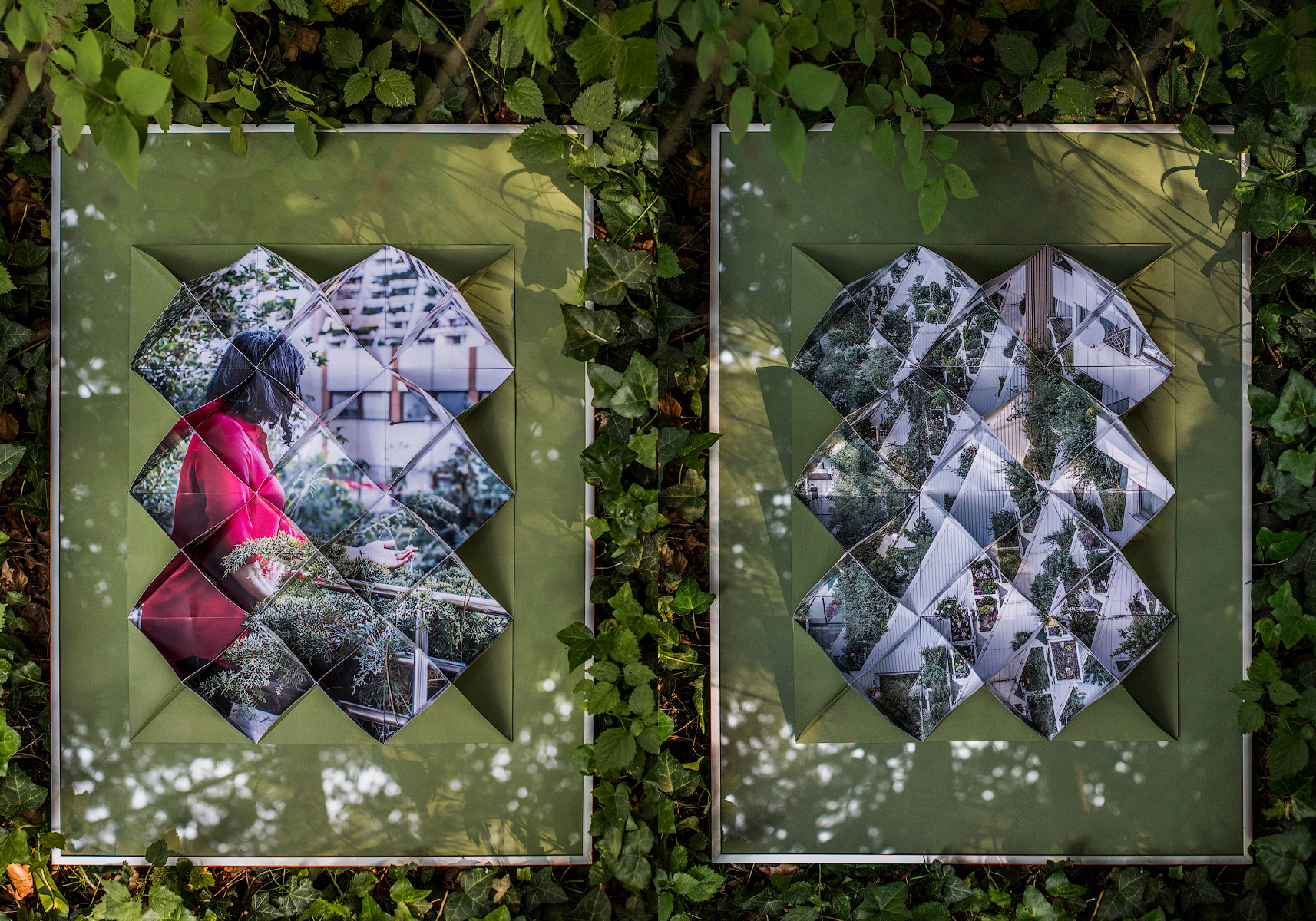 A Name for a Tree by Elena Anosova