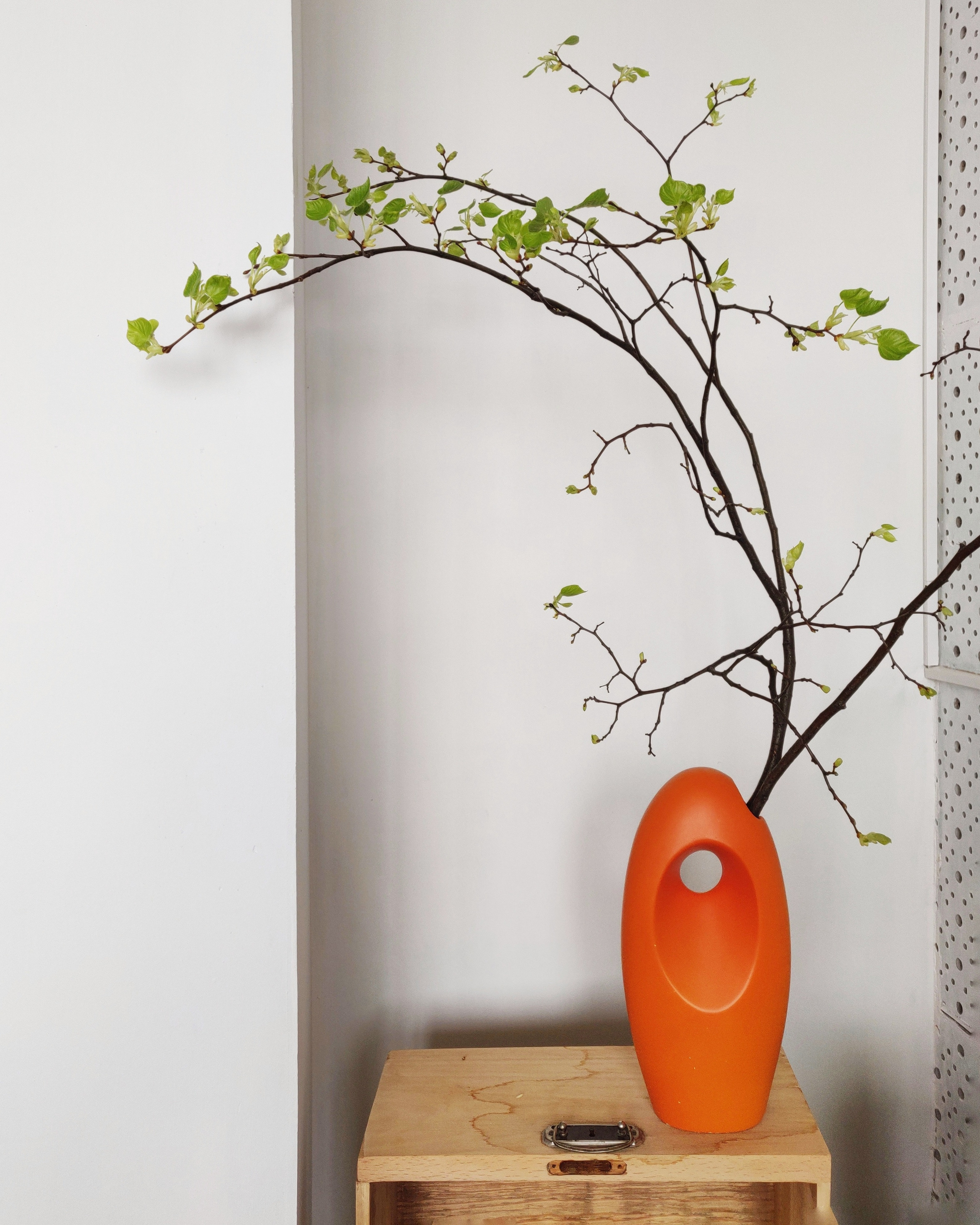 Онлайн-резиденция для художников от Room and Wall