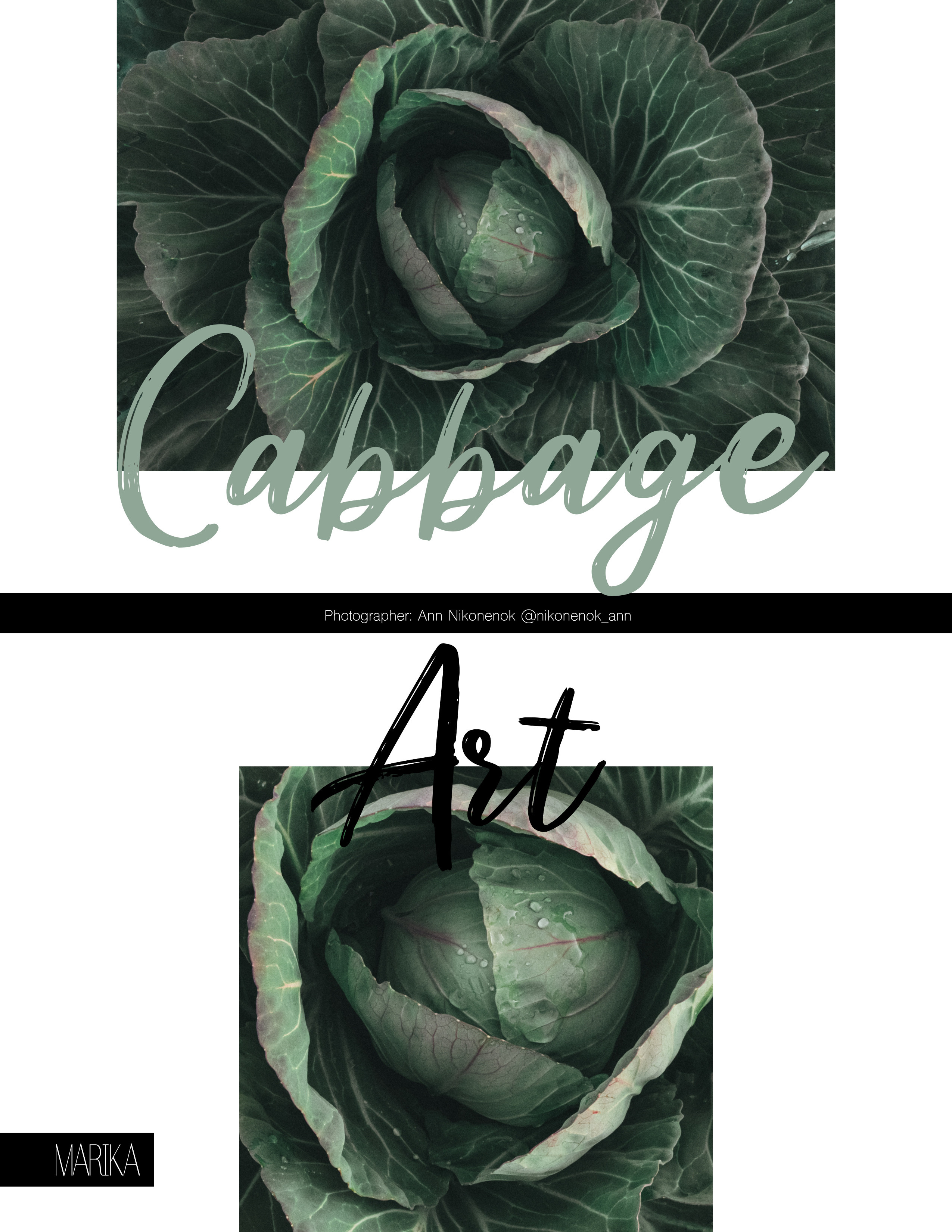 Публикации. Никонёнок Анна фотограф