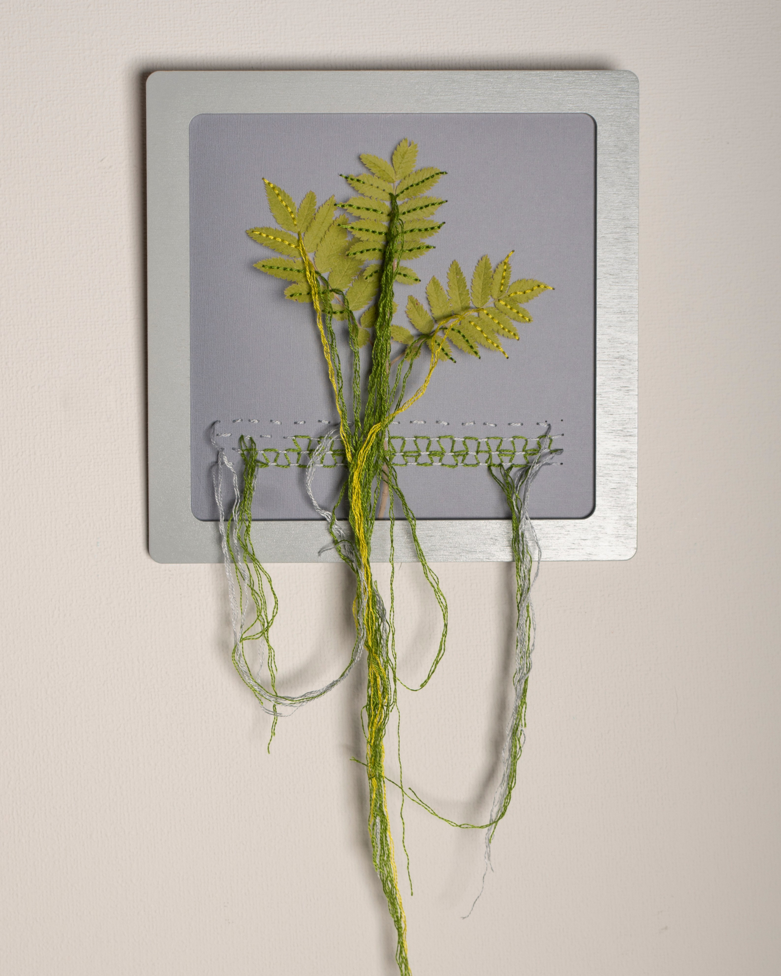 Работы приобрести. Фотохудожник АРТ-фотограф Ира Будниченко Москва