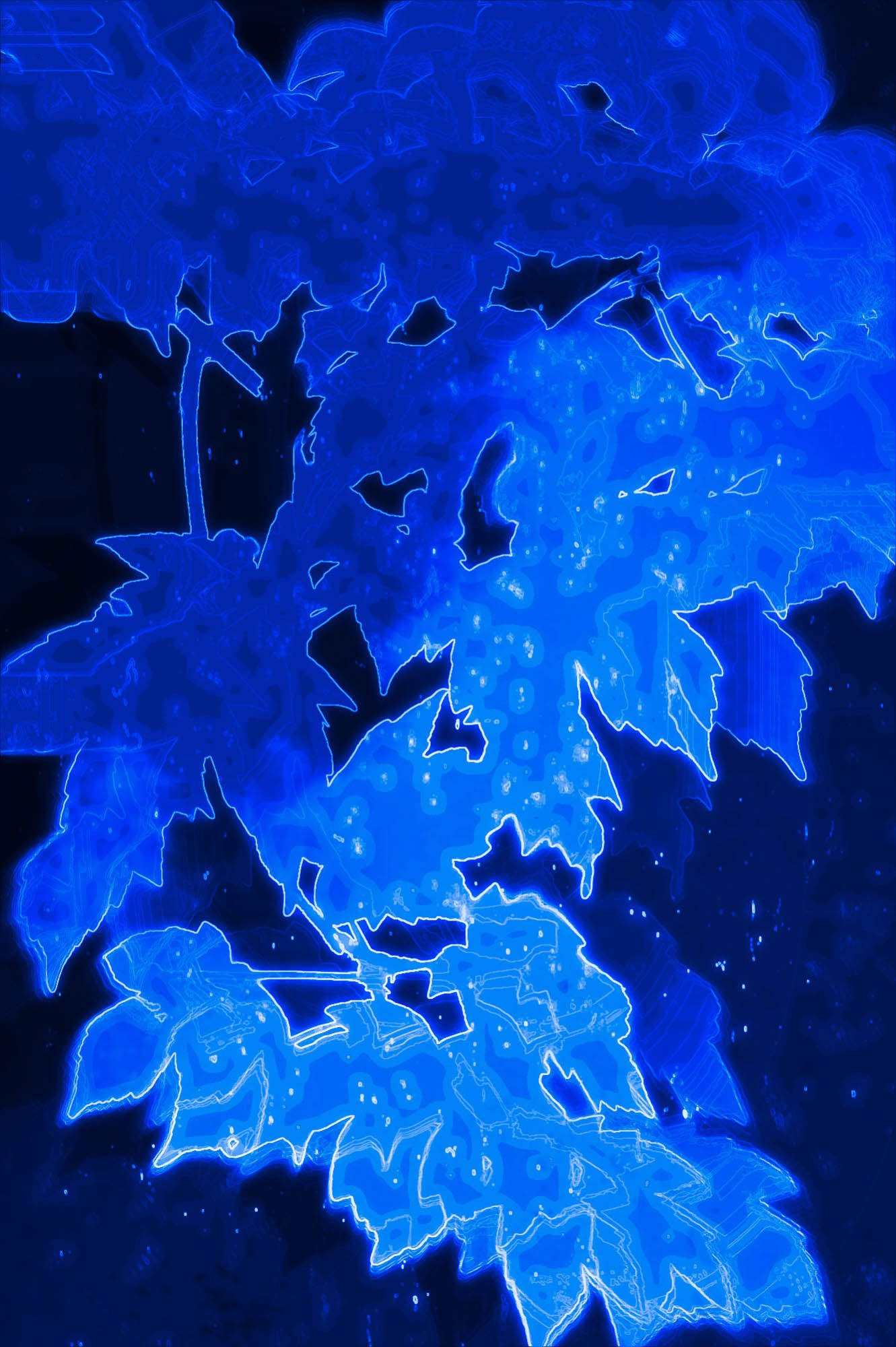 Творческое портфолио