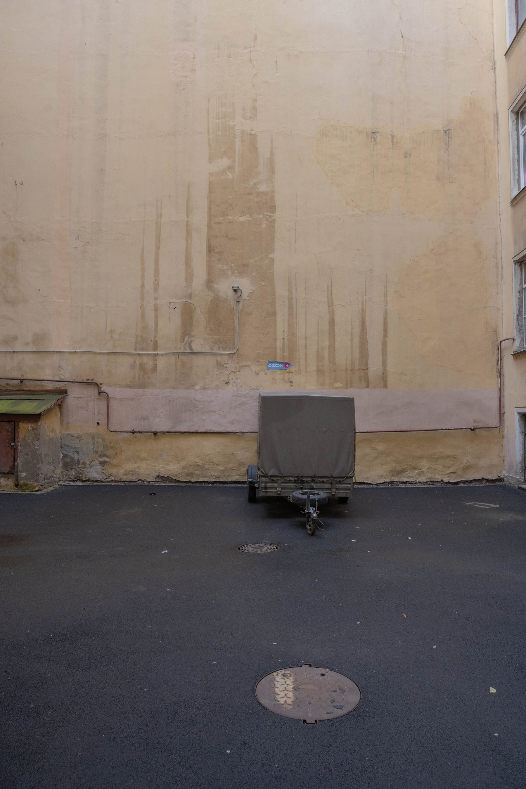 Опыт выражения. Shyjungle's Portfolio