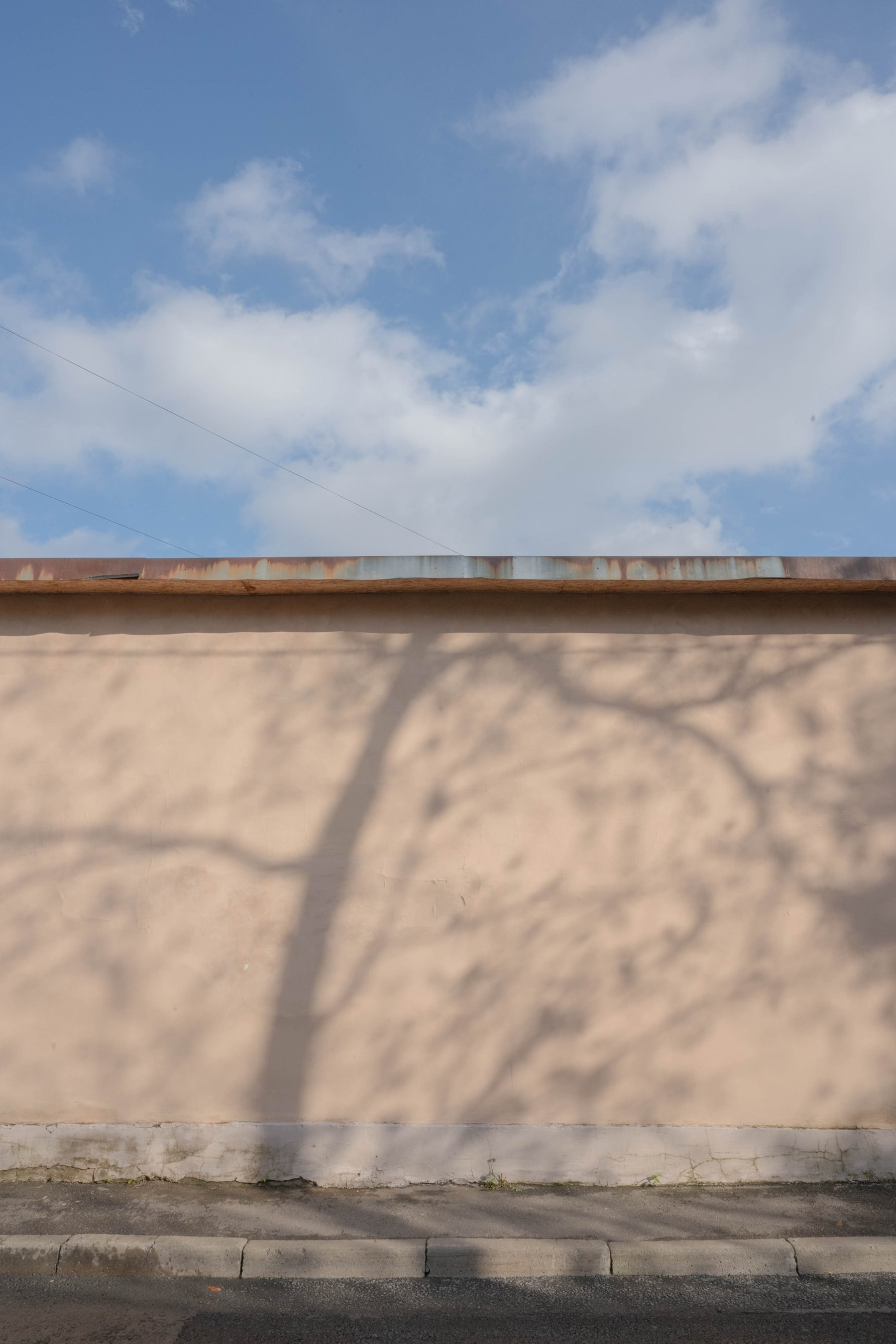 Опыт выражения. Shyjungle's Portfolio