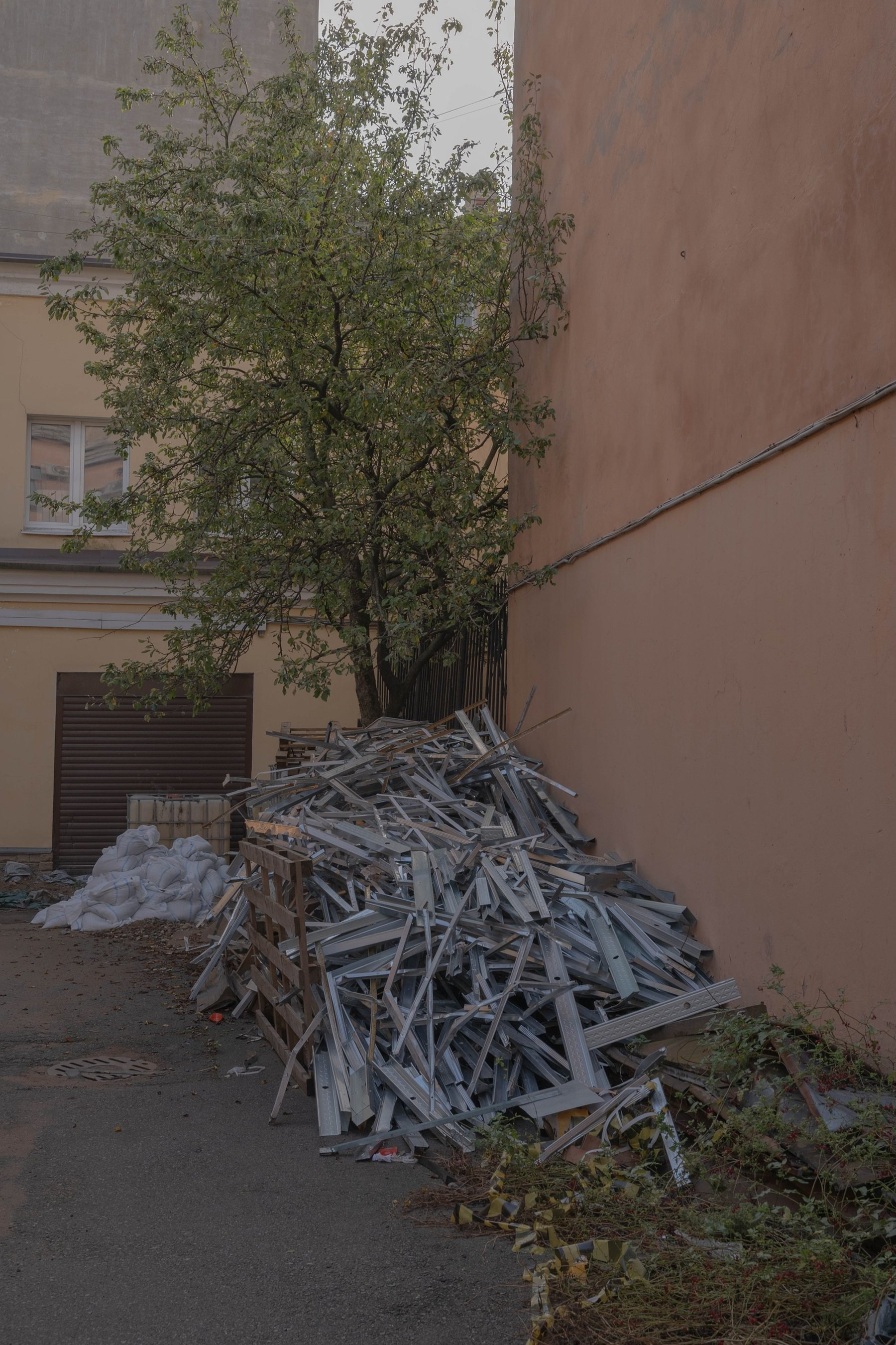 Опыт выражения. Shyjungle's Portfolio