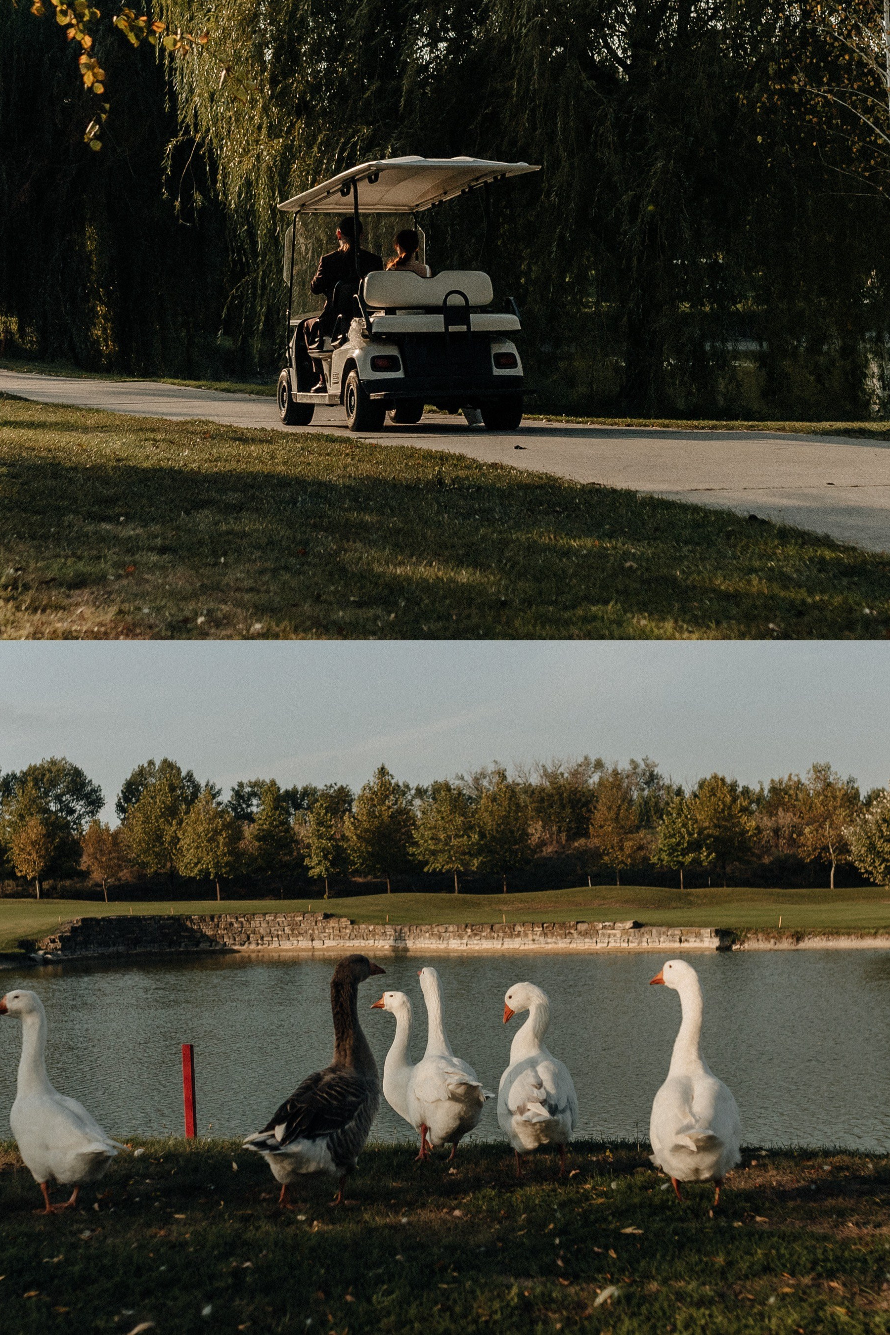 Информация / Прайс. Фотограф Трифон Мира