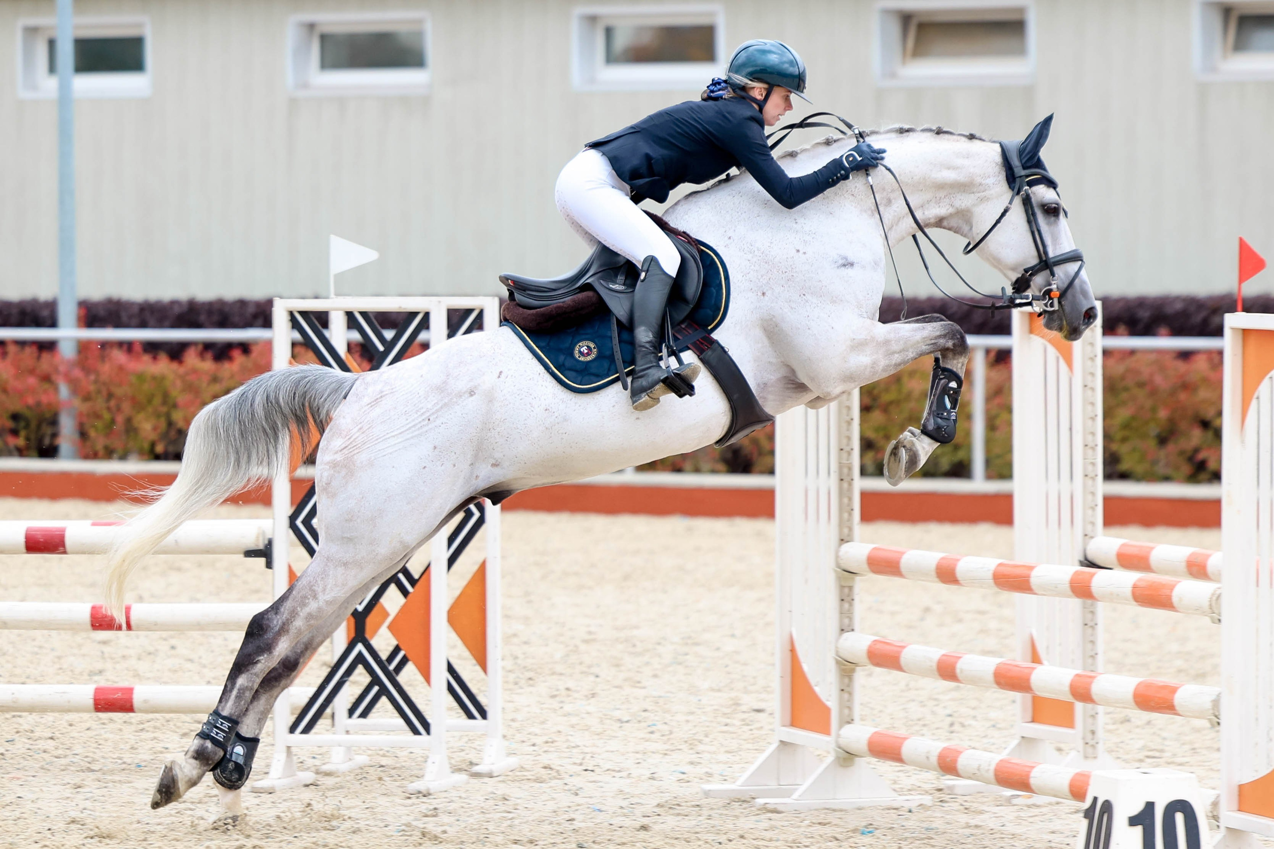 КСК КОНКОРД 20.09. Фотограф Баринова Полина