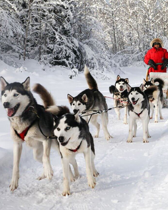 Услуги. RestPlace — айсфлоатинг, яхты, хивусы — активный отдых Красноярск