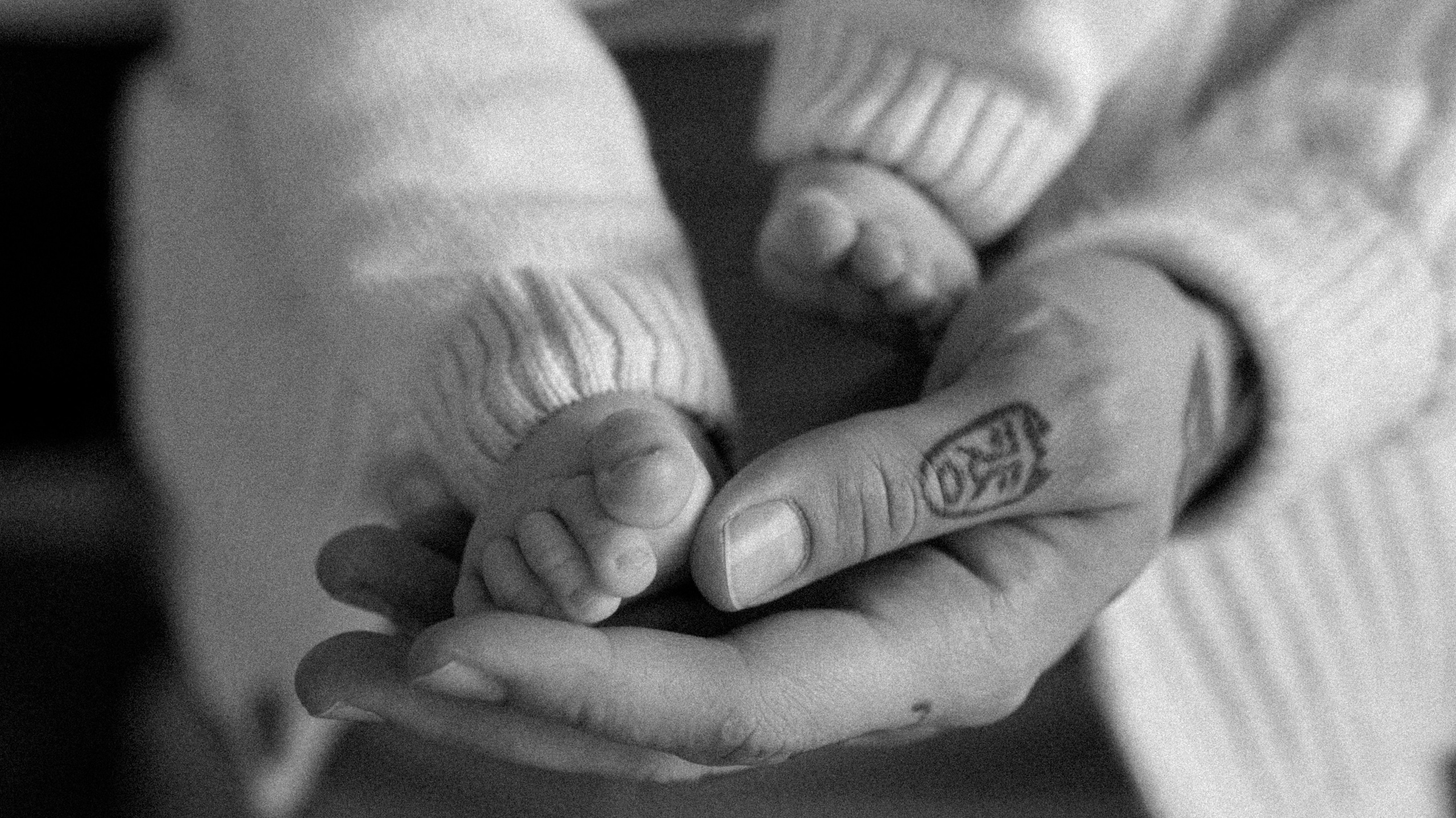 Стоимость. Семейный фотограф в Москве