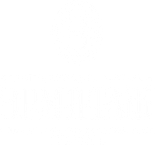 Качественный продакшн для вашего бизнеса — фотосъемка, видеосъемка, создание контента