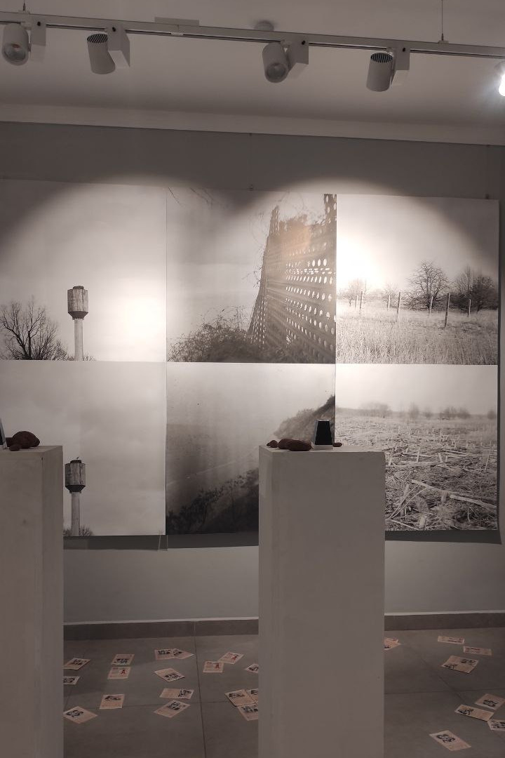 выставка проект День без числа автор проекта Юлия Горбунова