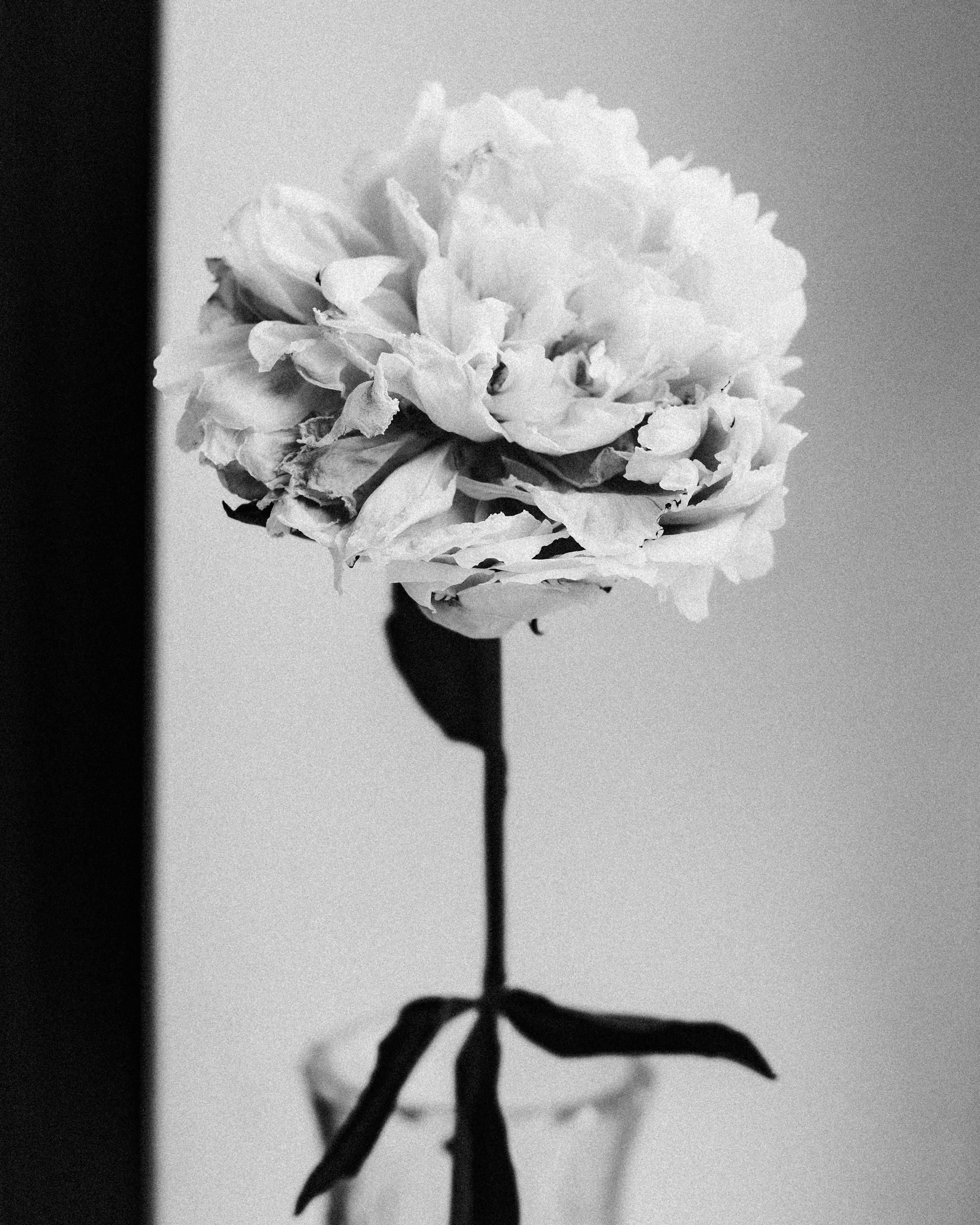 Contacts. Портретный фотограф Москва