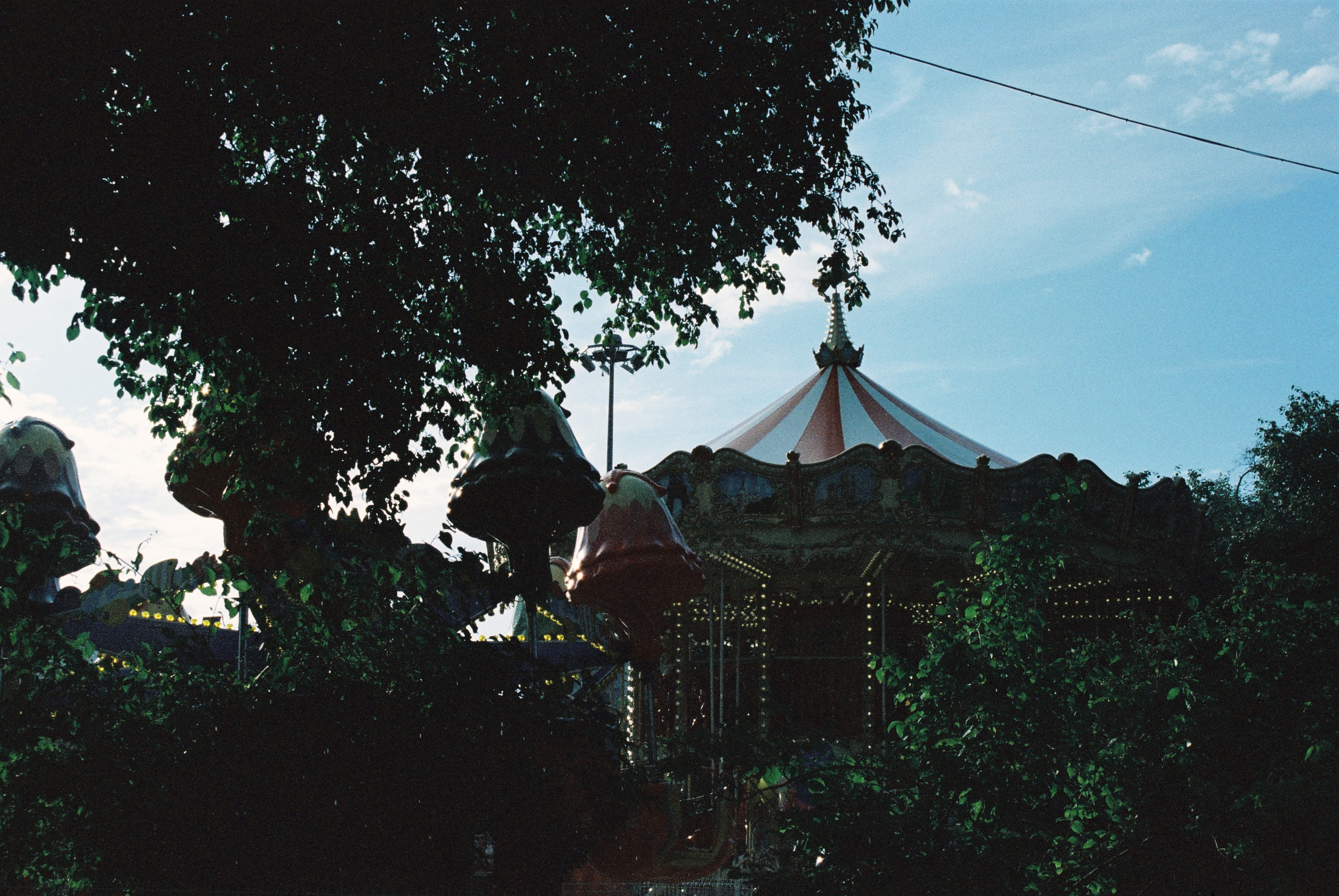 Первые пленочные кадры. Фаниса Портретный фотограф в Тюмени