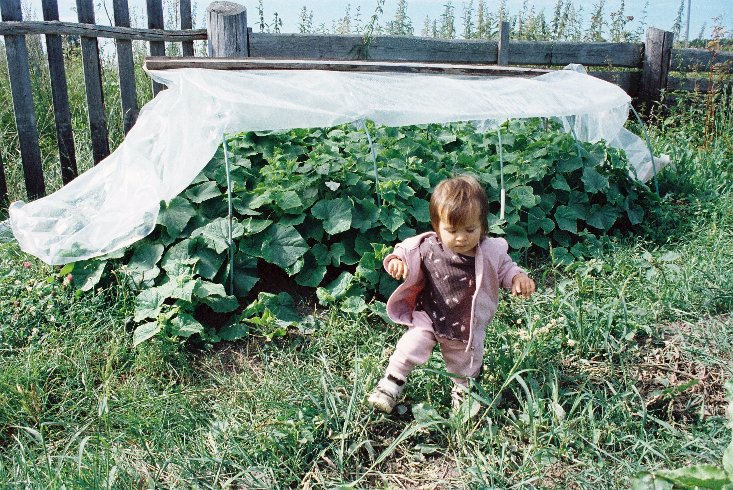 Первые пленочные кадры. Фаниса Портретный фотограф в Тюмени