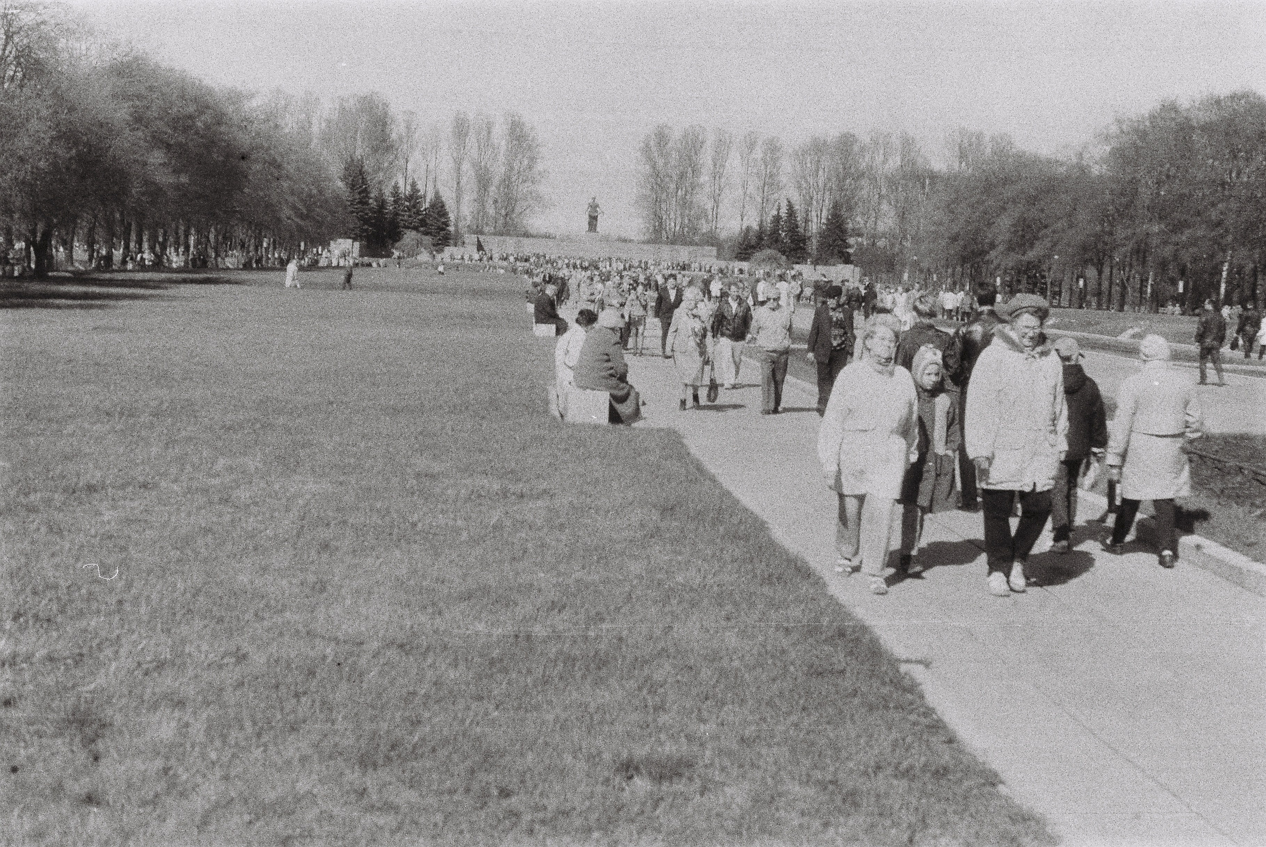 Прощай, Гражданка!. Главная