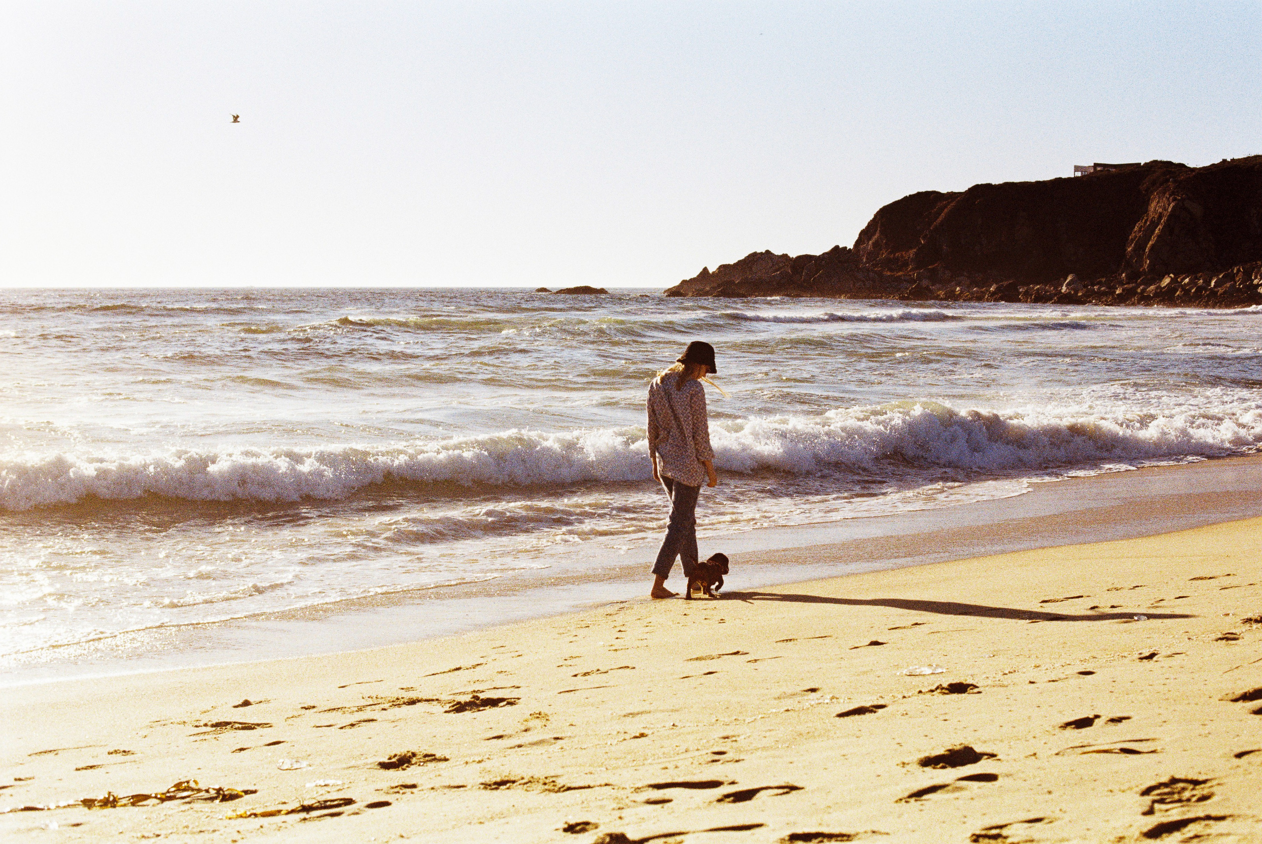 Film photographer in Los Angeles Anastasiya Pankova