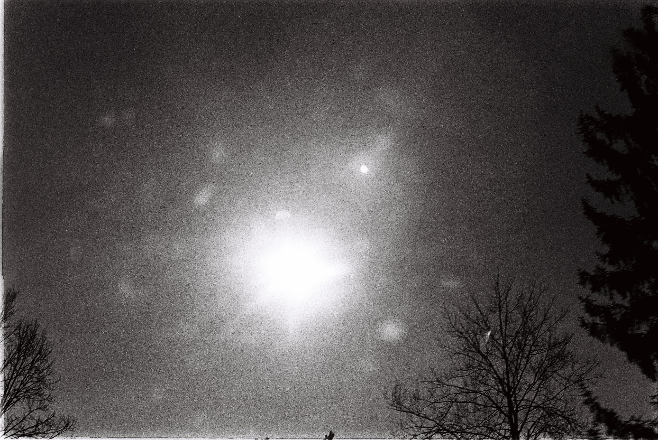 Круг жизни. Пылина Ирина — современная фотография