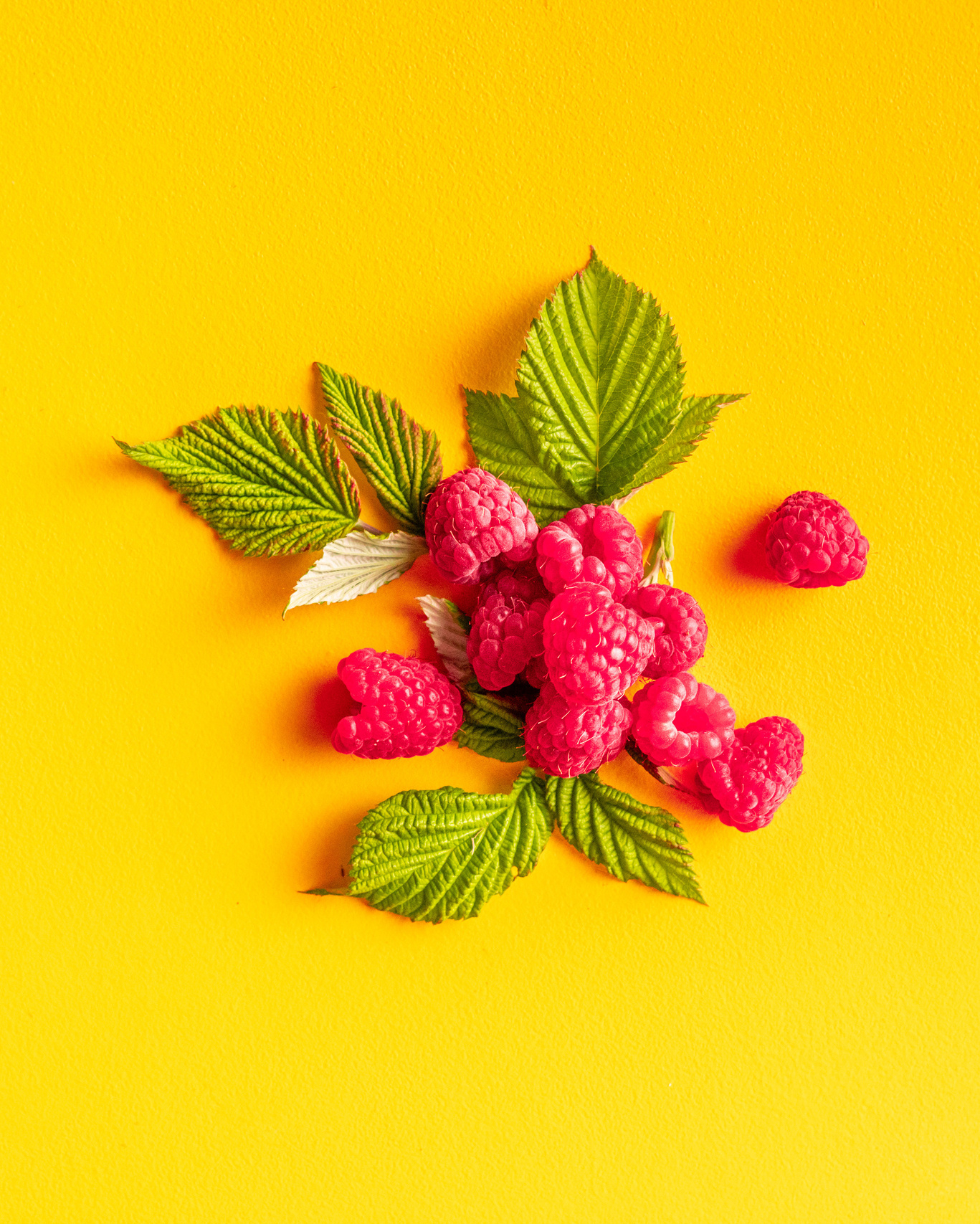 Портфолио. Съемка фото и видео контента. Михаил Руденко