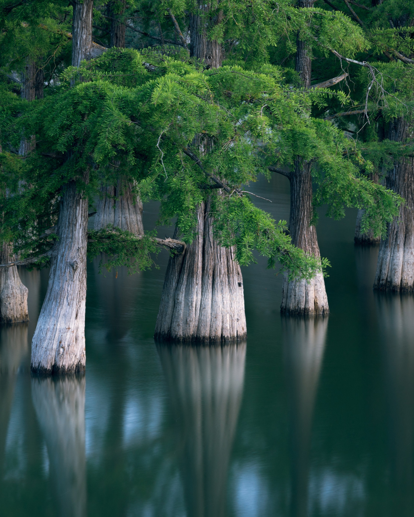Публикации. Пейзажный и тревел-фотограф Алексей Соколенко