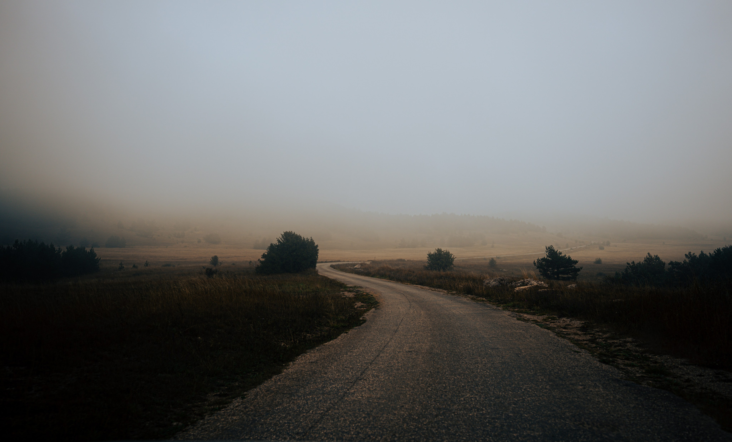 Фотограф из Москвы — DASHA NOVA | Авторская фотография в разных жанрах