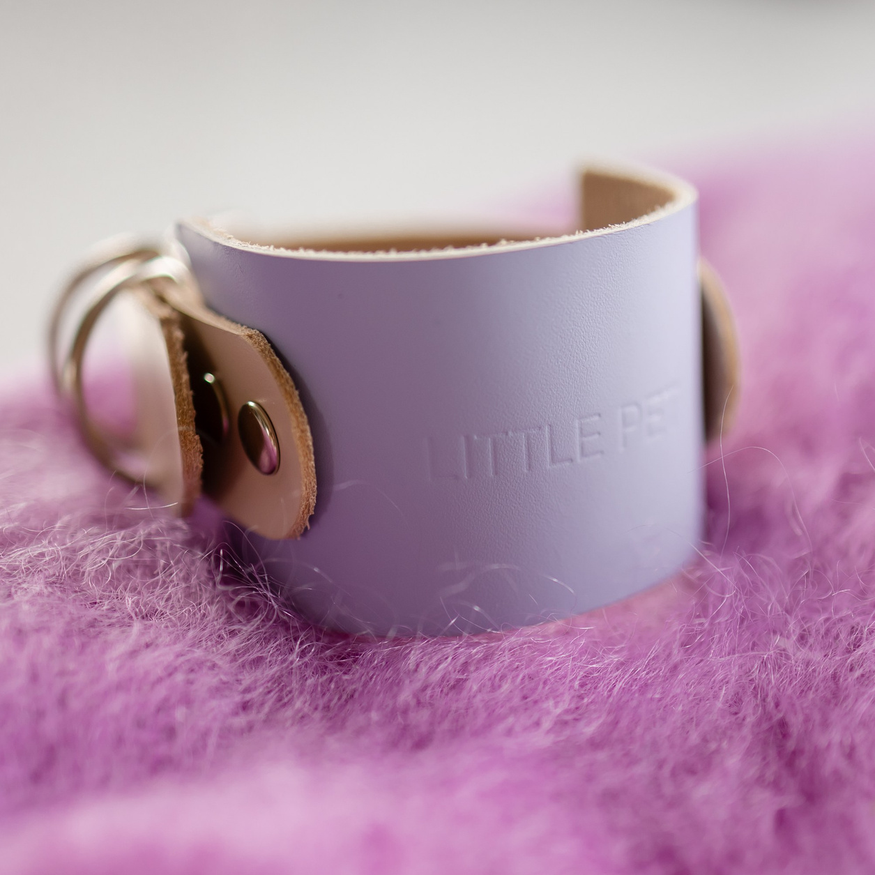 Прогулки. Профессиональный питомник левреток РКФ/FCI ASTI SAPPHIRE 💎 Сочи|Санкт-Петербург