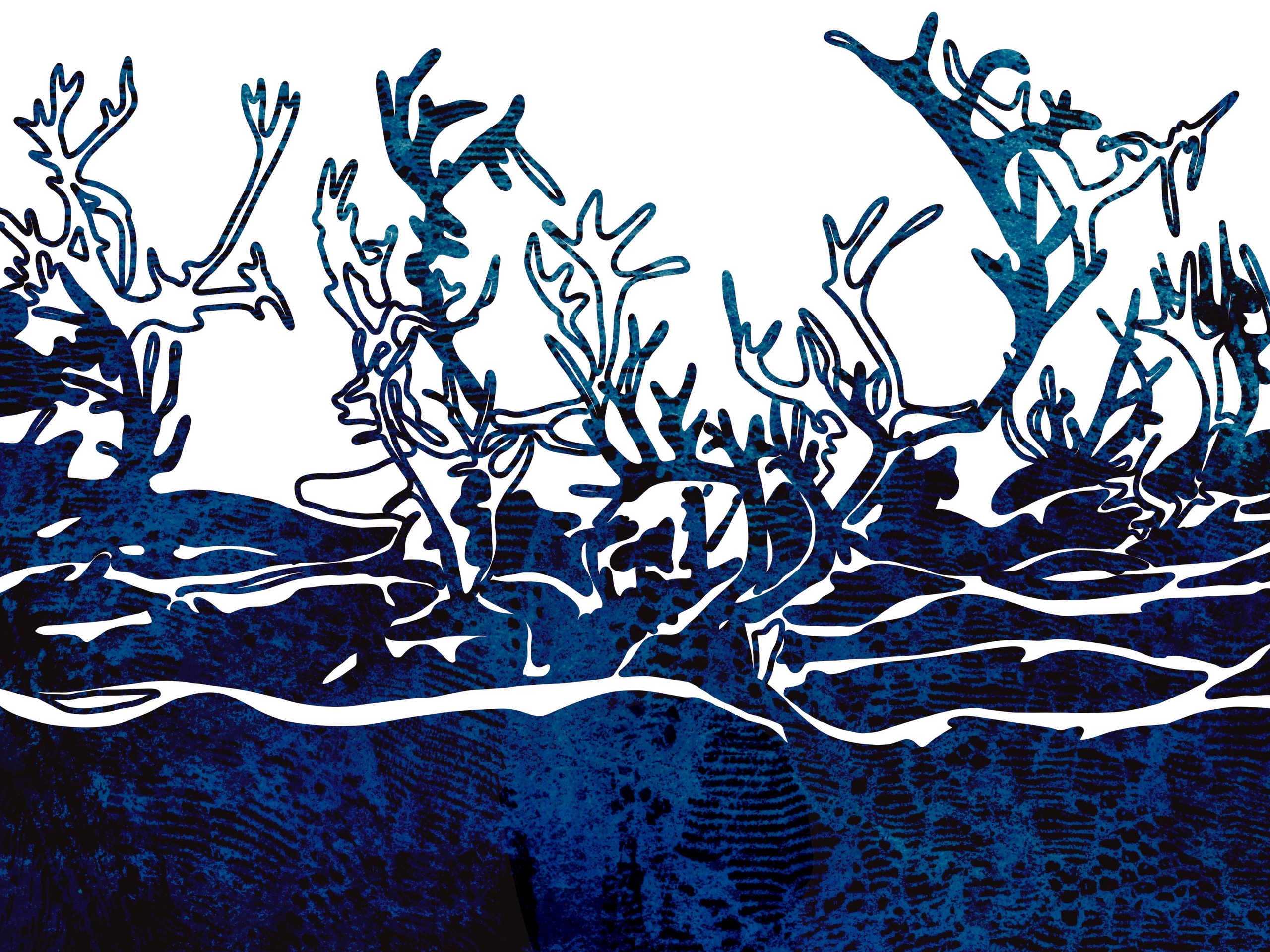 ТУР ИМАННА. KataVata art&animation