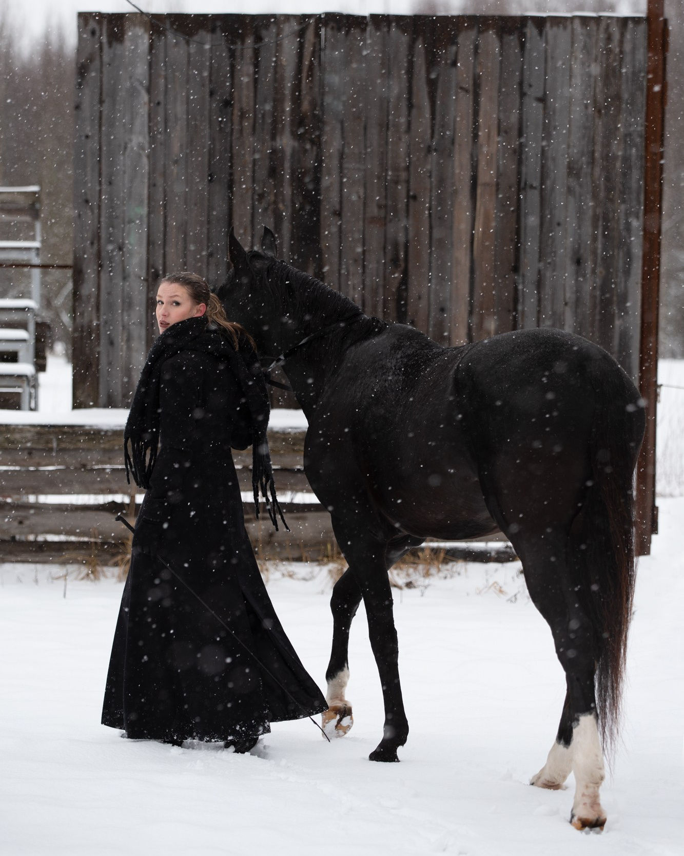 фотосессия с символом года, символ года, символ 2026 года, год лошади, Портретная съемка, портрет конника, портрет всадника, съемка проекта, фотография, фотограф спб, портретный фотограф спб, студийная съемка, фотосессия недорого, фотограф спб, недорого фото съемка в студии, профессиональный фотограф, фотограф питер, фотосет, фотосессия, съемка с лошадью, фотосессии с лошадьми, конный фотограф, конная фотография, фото с лошадью