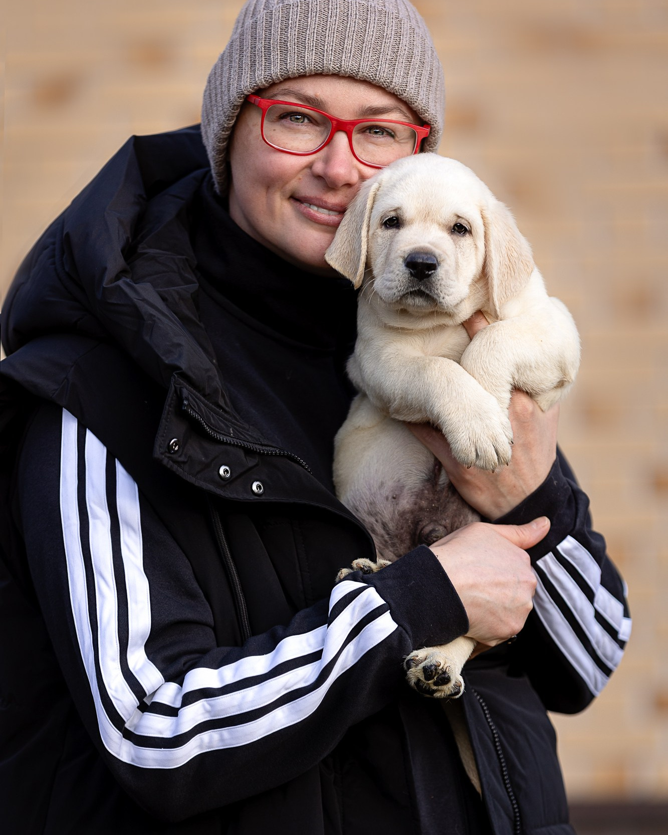 Асадова Наталия лабрадор щенки фотосессия фотограф анималист