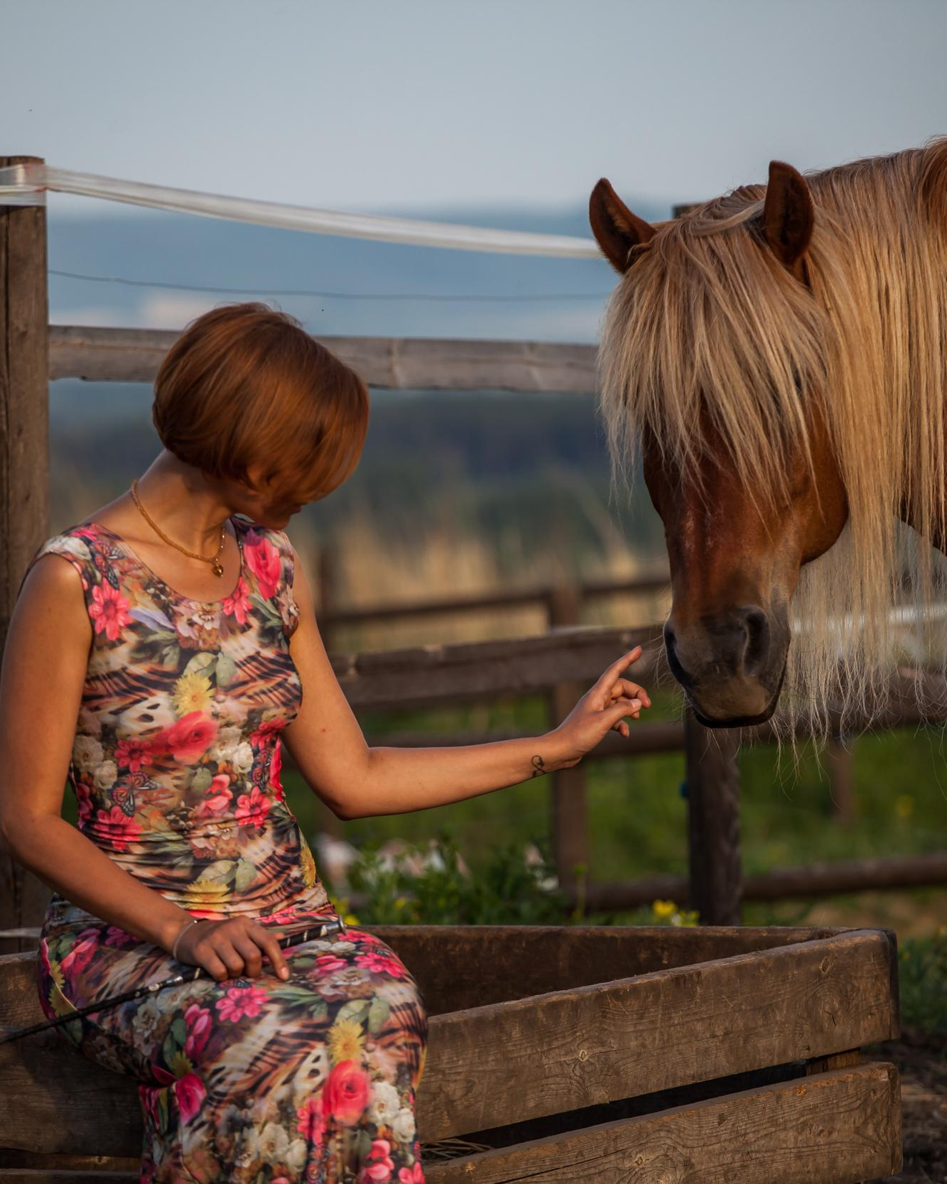 Услуги. «Свет внутри»