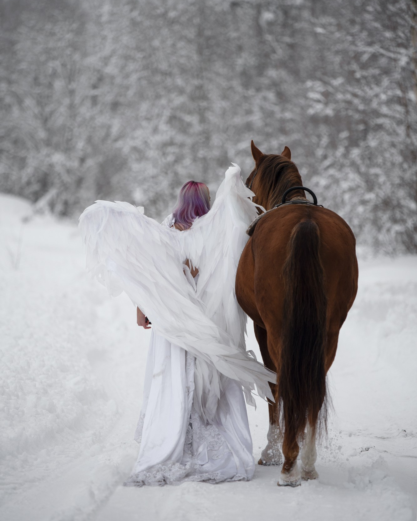фотосессия с символом года, символ года, символ 2026 года, год лошади, Портретная съемка, портрет конника, портрет всадника, съемка проекта, фотография, фотограф спб, портретный фотограф спб, студийная съемка, фотосессия недорого, фотограф спб, недорого фото съемка в студии, профессиональный фотограф, фотограф питер, фотосет, фотосессия, съемка с лошадью, фотосессии с лошадьми, конный фотограф, конная фотография, фото с лошадью