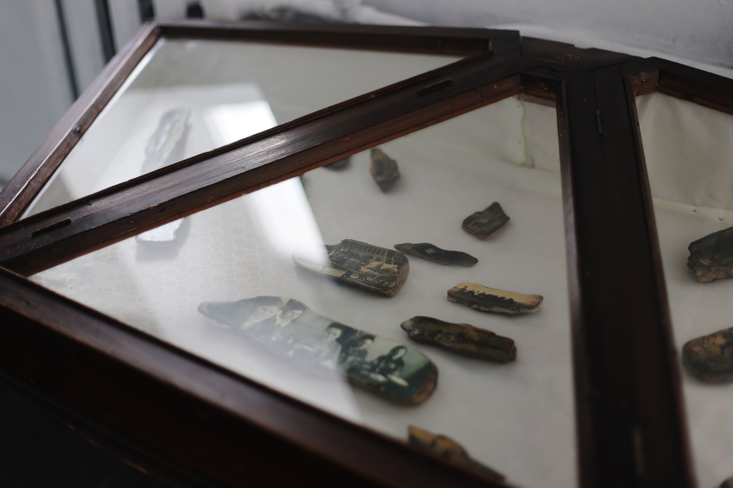 Тропа волн. Julia Altukhova, multimedia artist