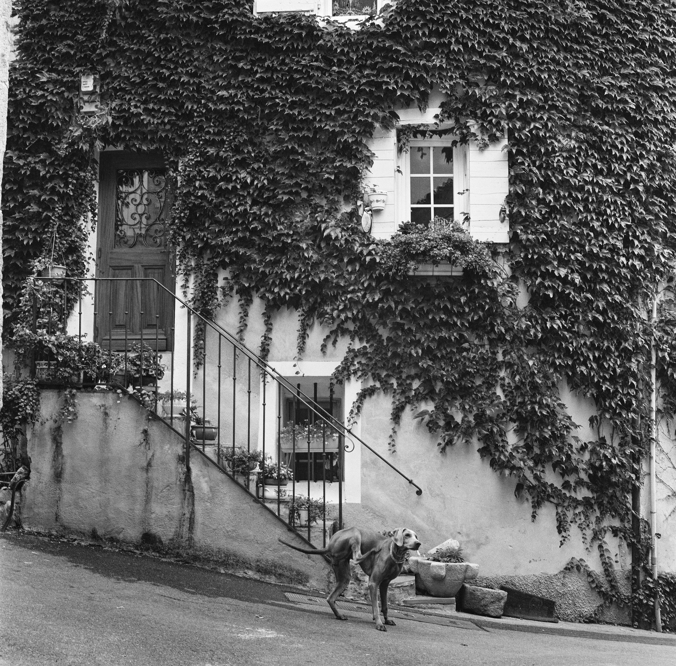 Галерея. Filmdreams.ru