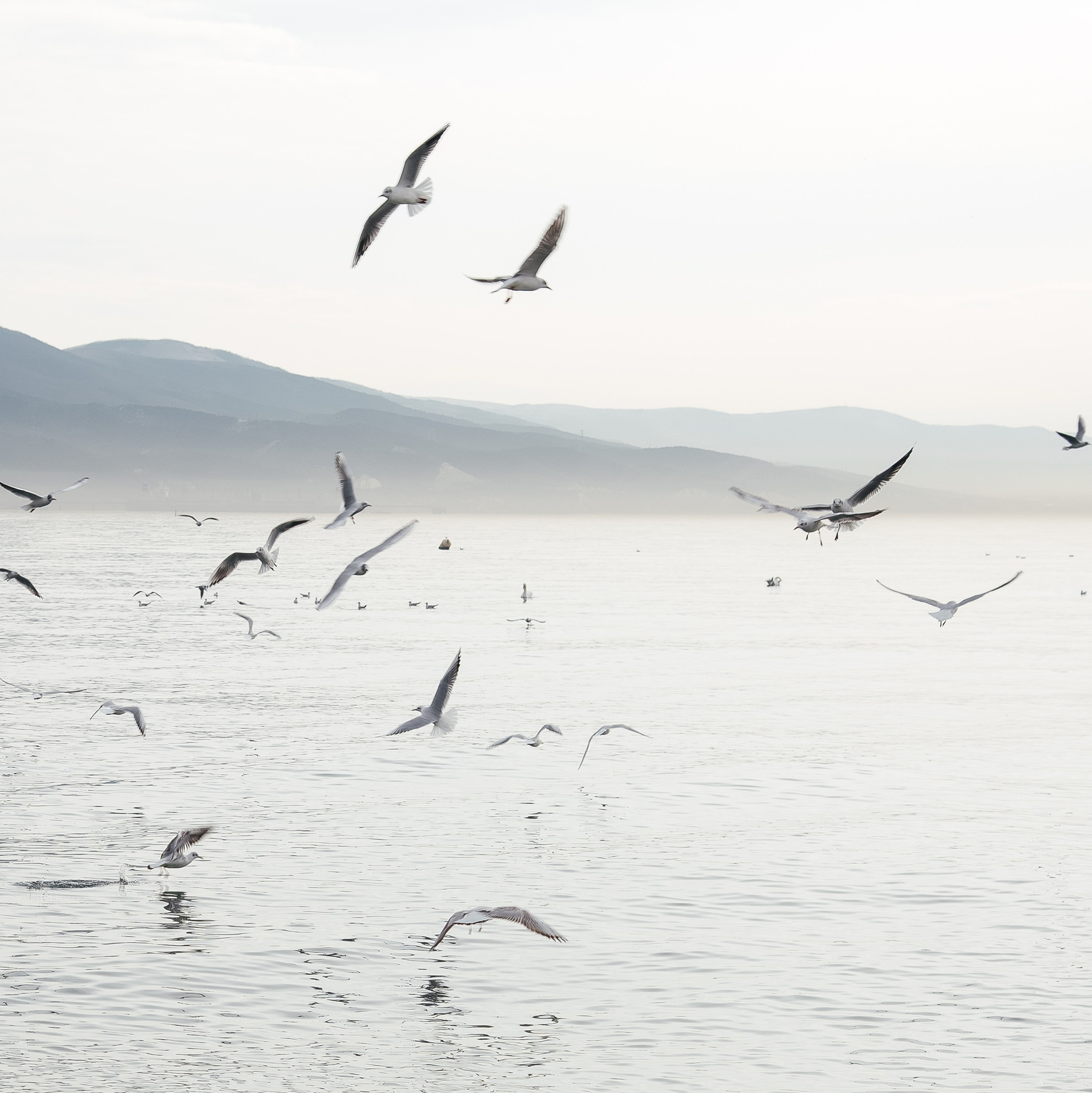 Портретный и семейный фотограф в Геленджике Таня Ходова