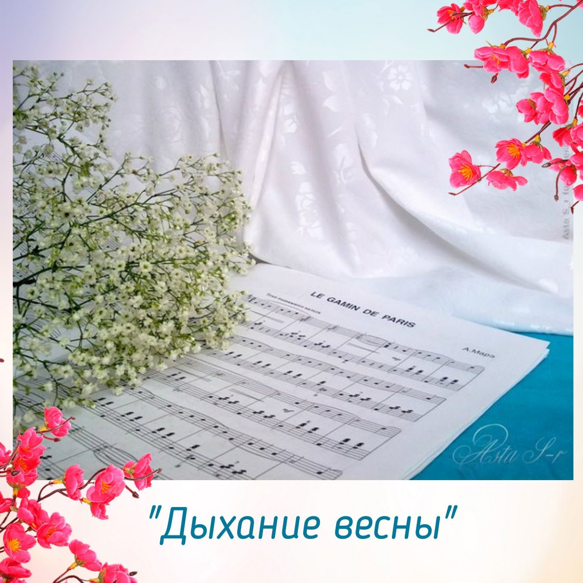 О том как я начала снимать. 📸. Фотограф Анастасия Белякова в Санкт-Петербурге и Гатчине