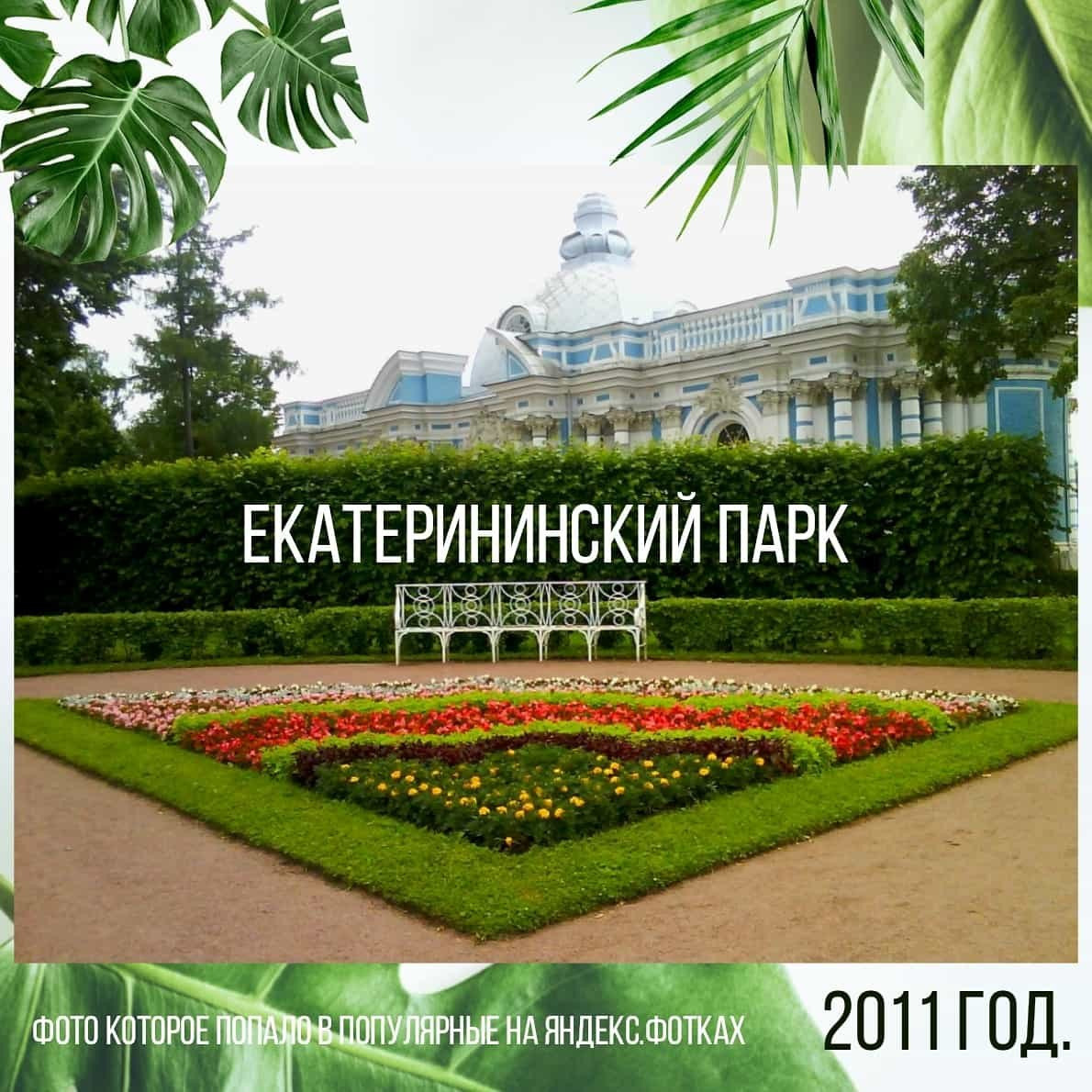 О том как я начала снимать. 📸. Фотограф Анастасия Белякова в Санкт-Петербурге и Гатчине