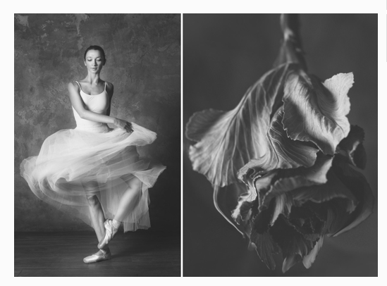 Press — Big Picture