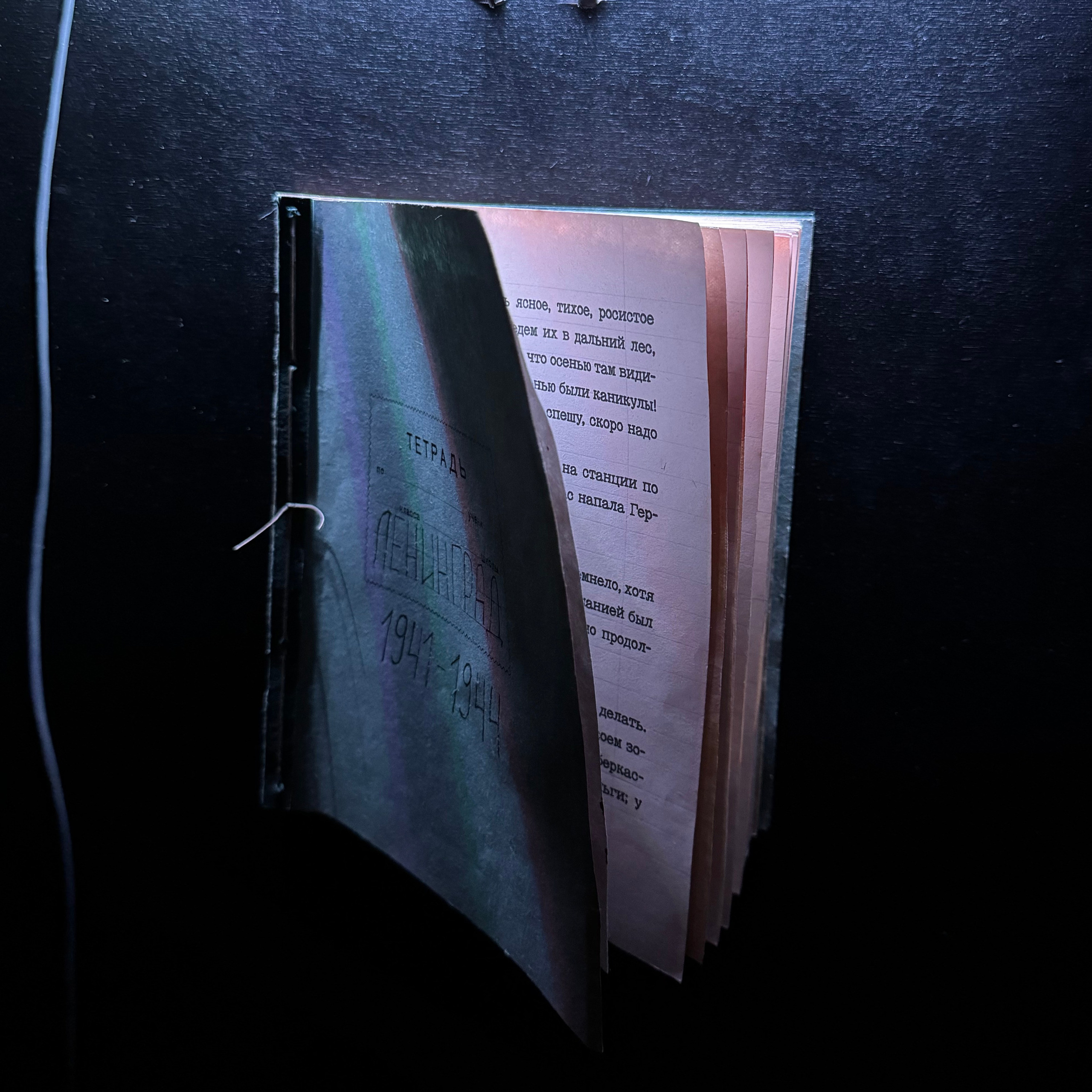 Инсталляция «Темная сторона». Фотограф Анастасия Арланцева