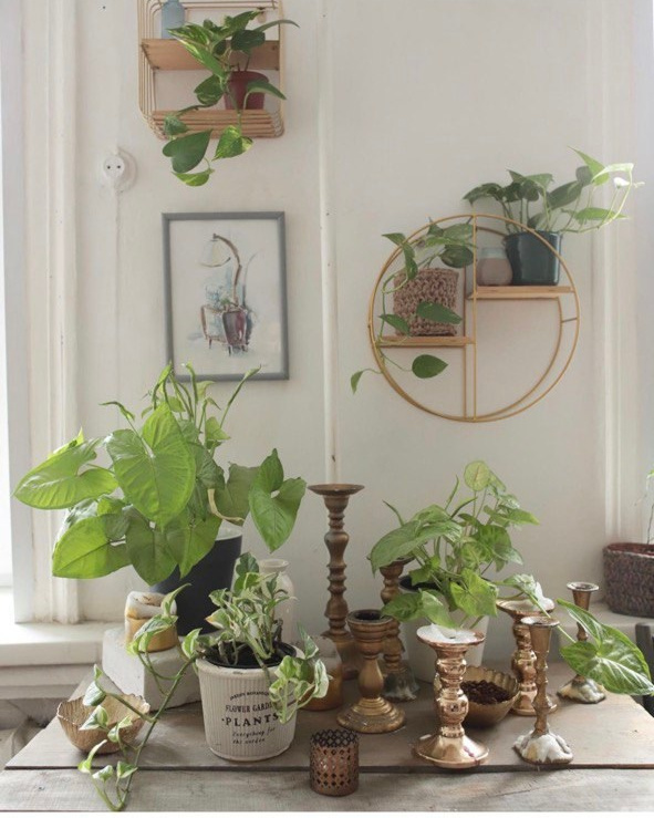 Красивые фотостудии в Томске