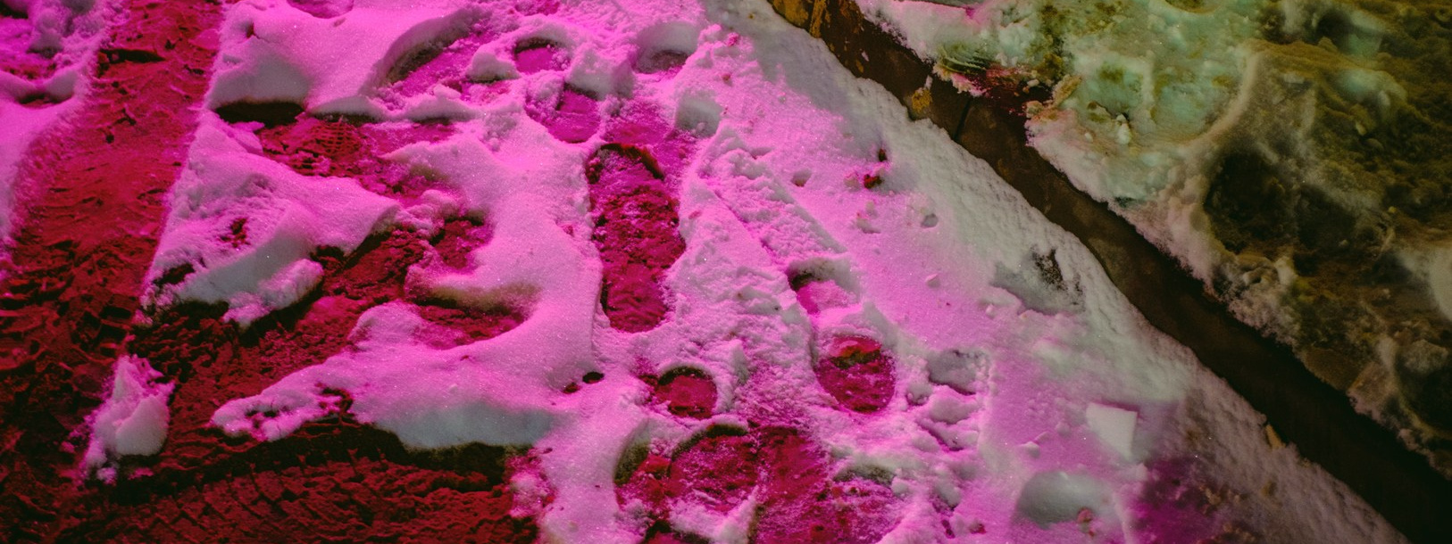 Руслан Шувалов (поэтограф)