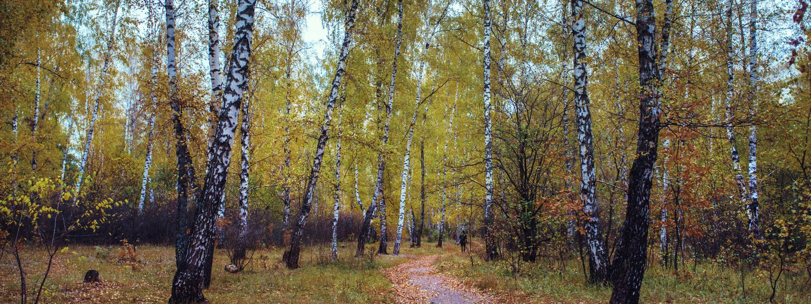 Руслан Шувалов (поэтограф)